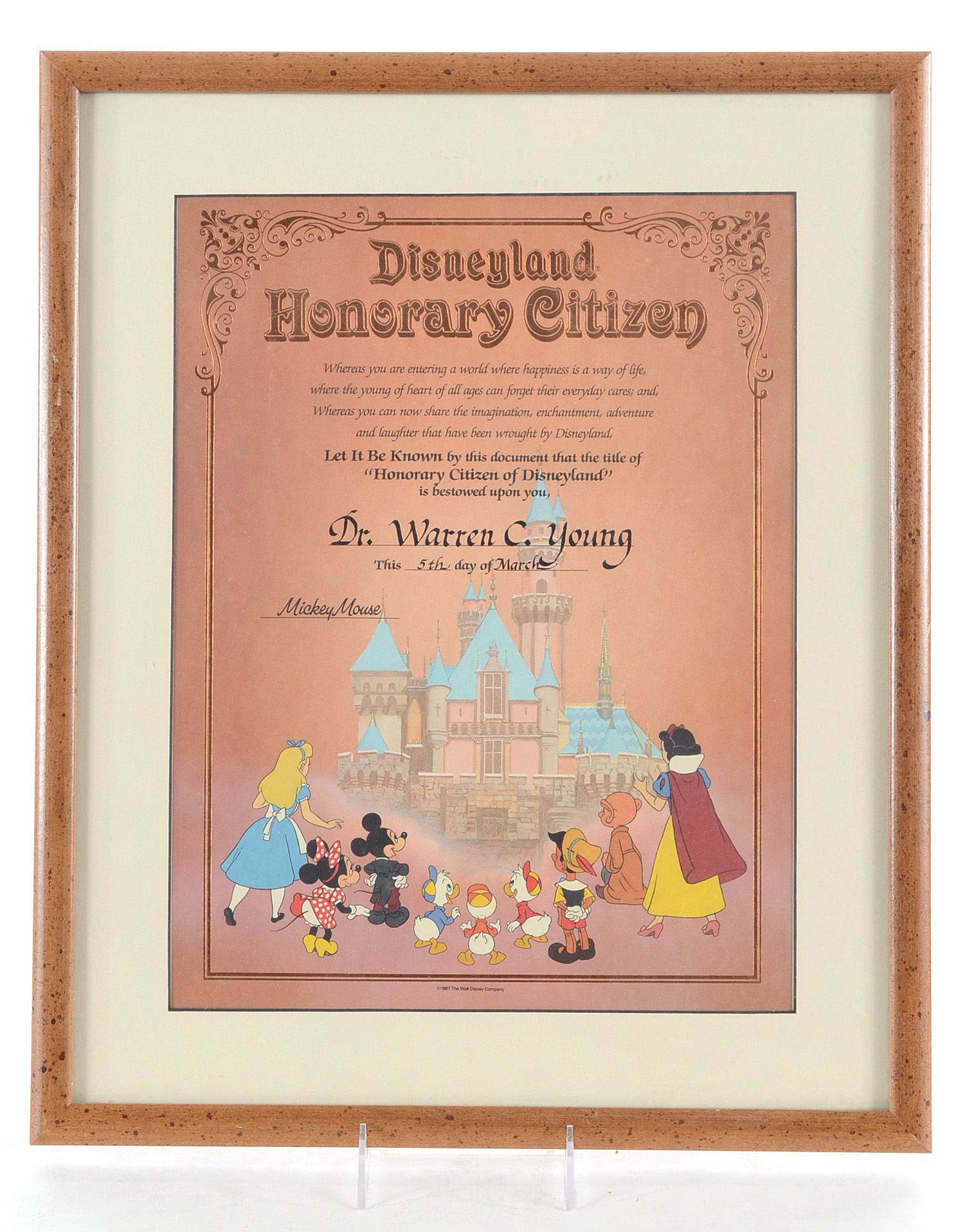 Disneyland and Disney Vacation Club Art and Ephemera
