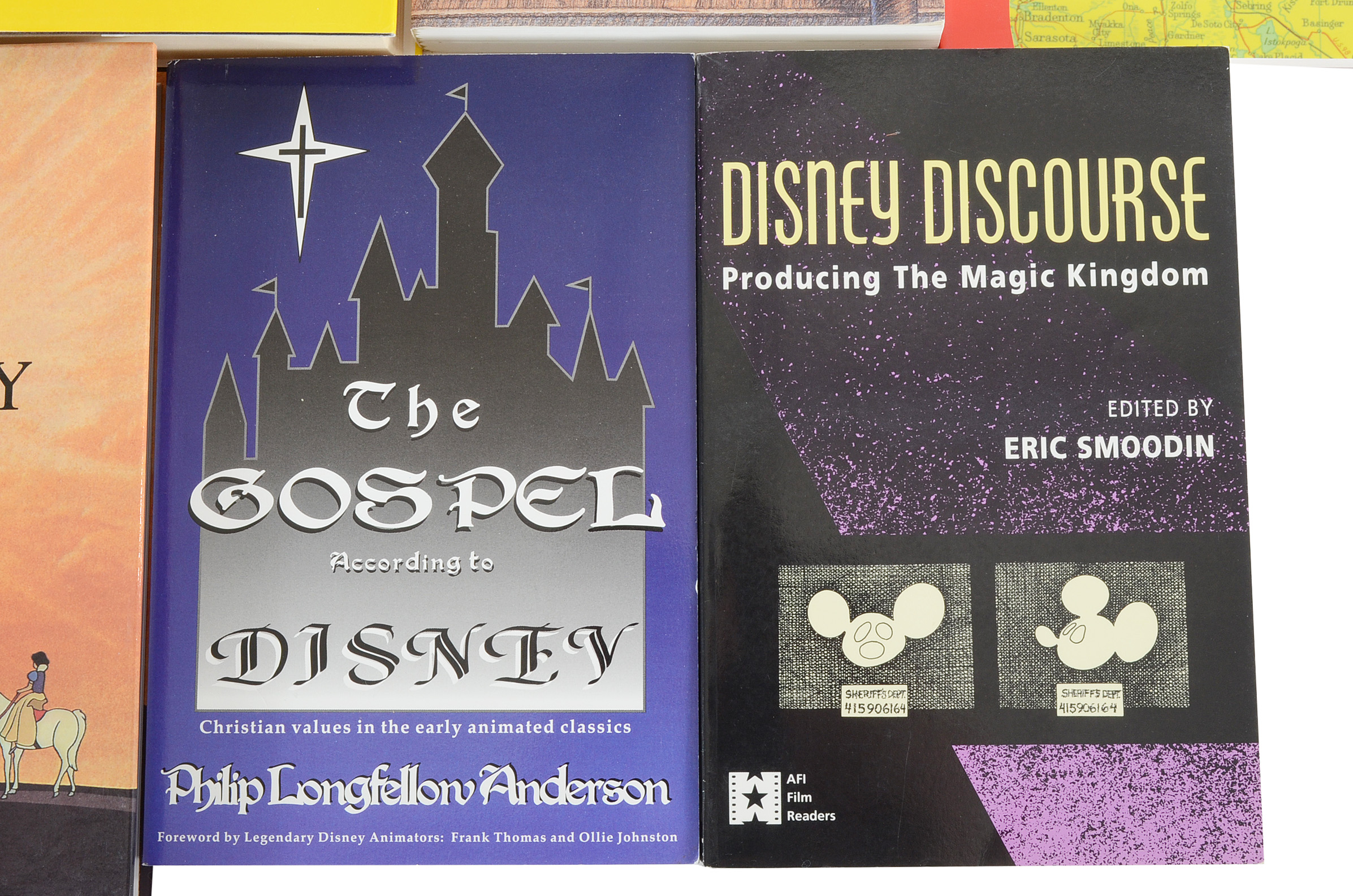 Disney Cultural Criticism Books
