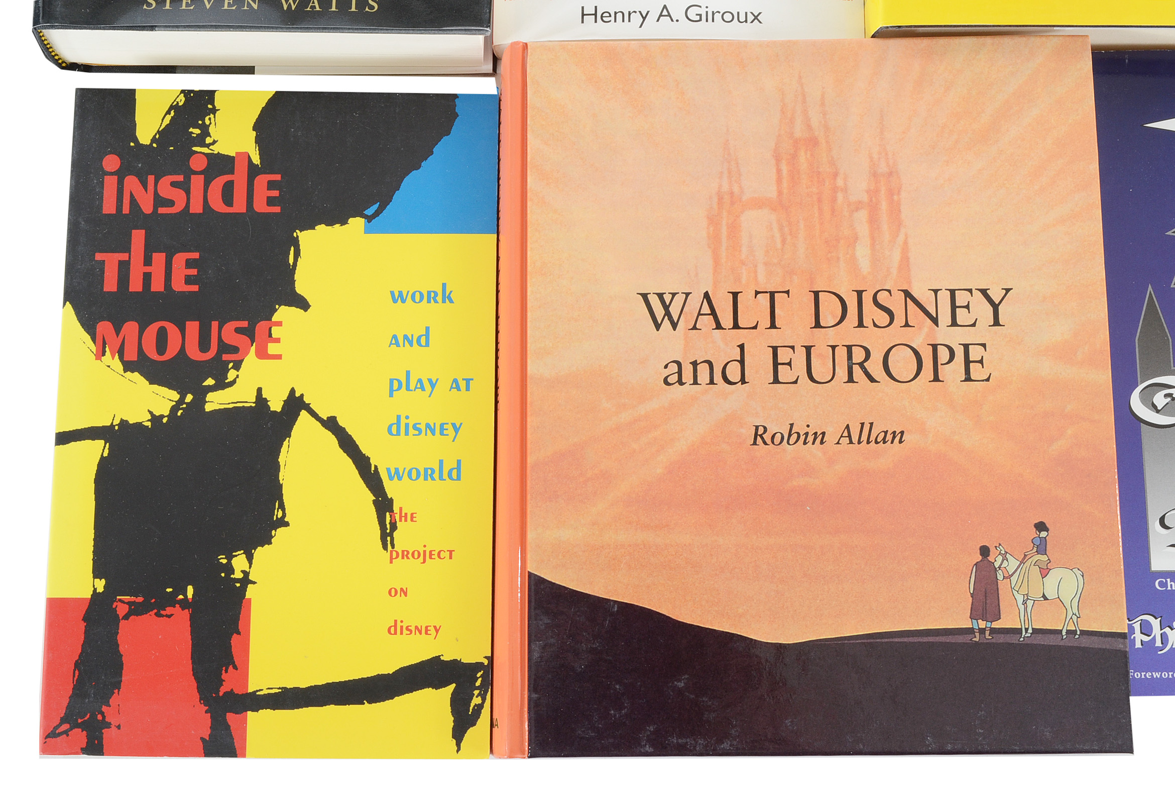 Disney Cultural Criticism Books