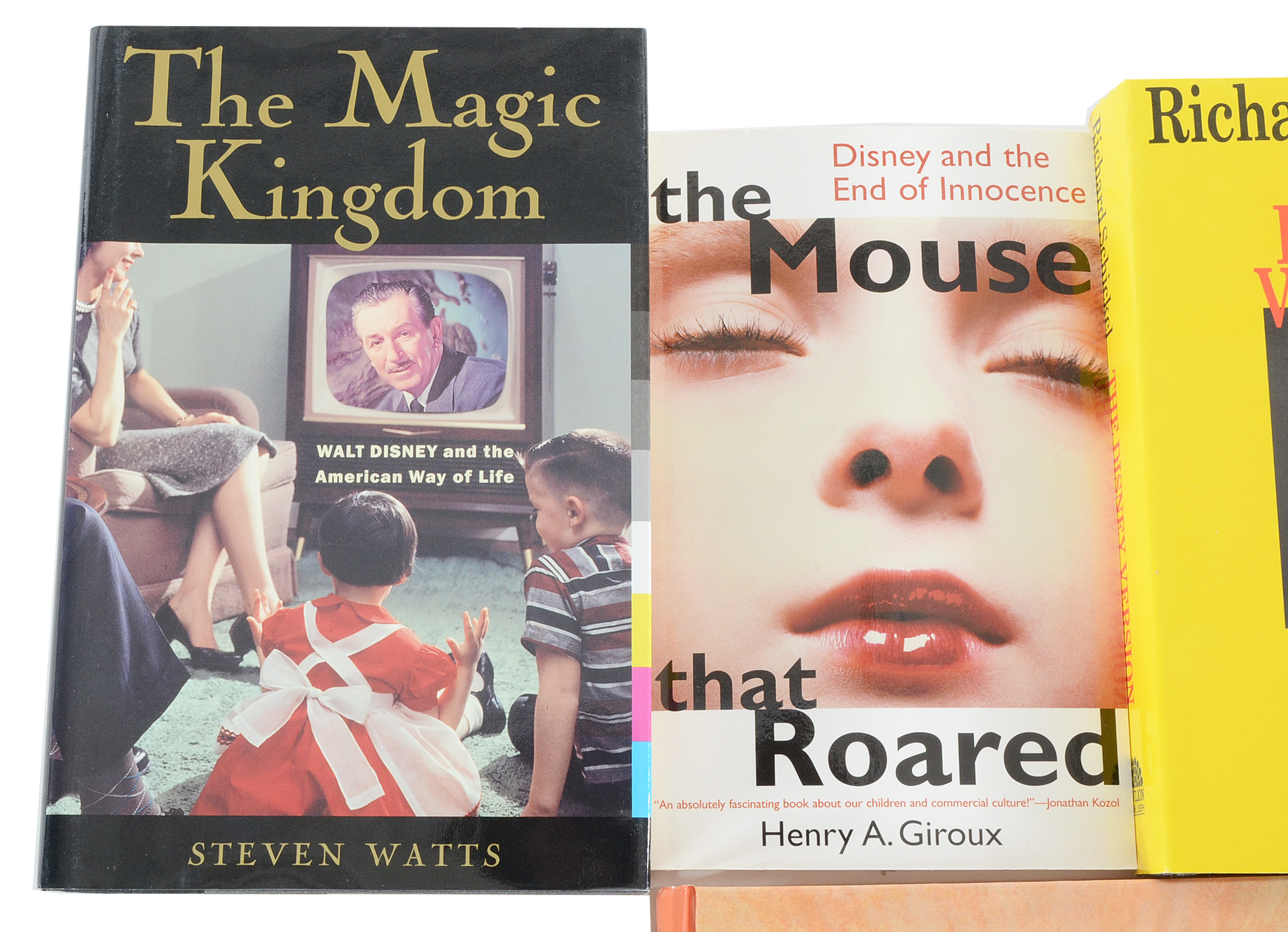 Disney Cultural Criticism Books