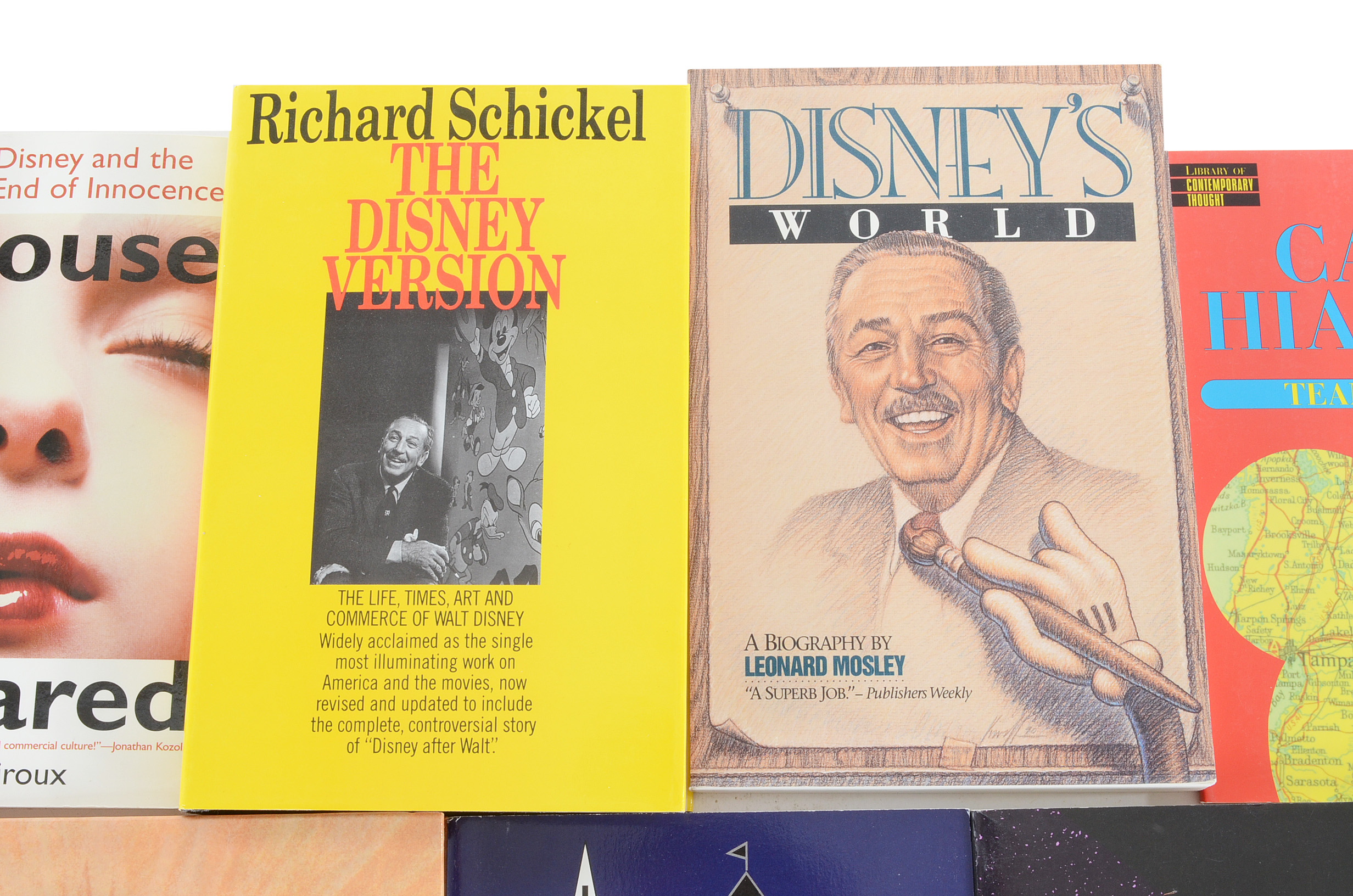 Disney Cultural Criticism Books