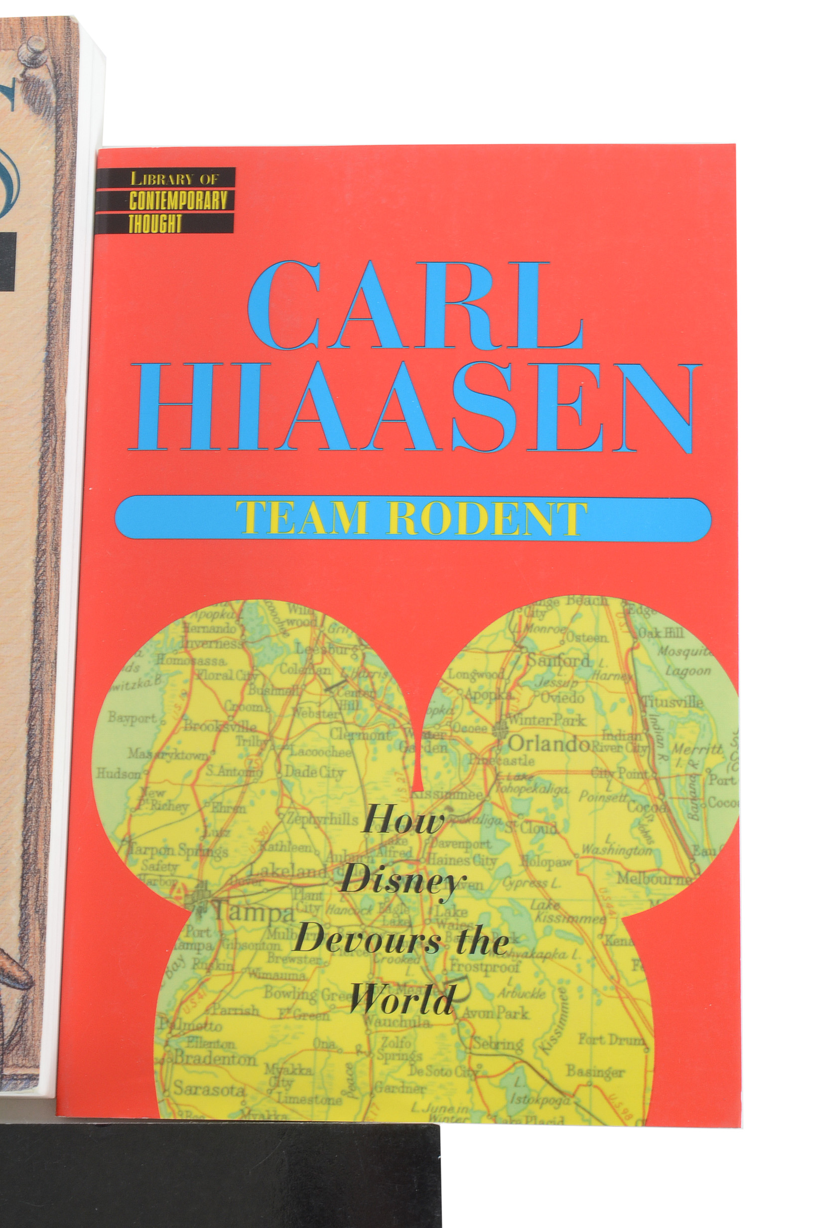 Disney Cultural Criticism Books