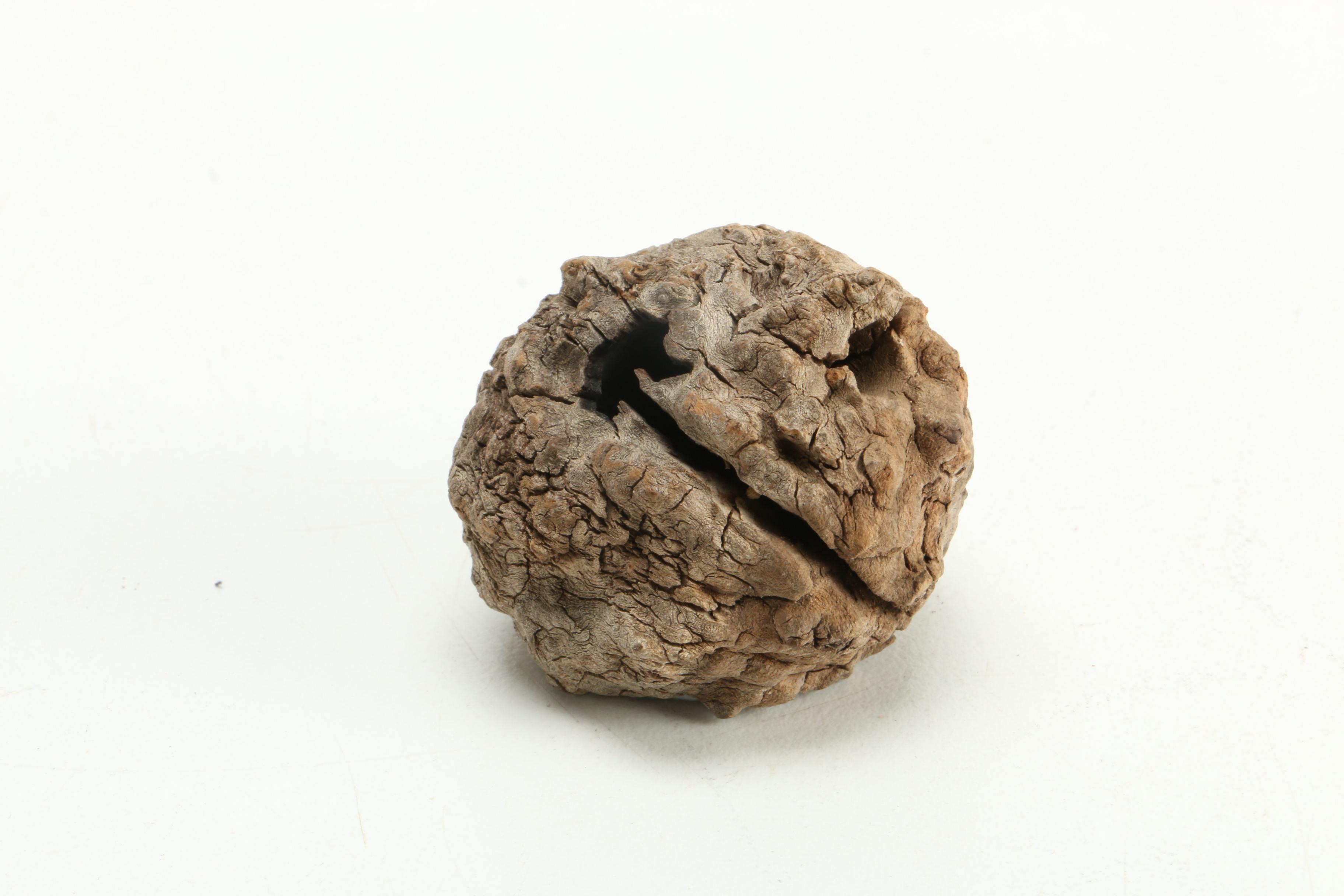 Native American, Southwestern and Other Decorative Assortment