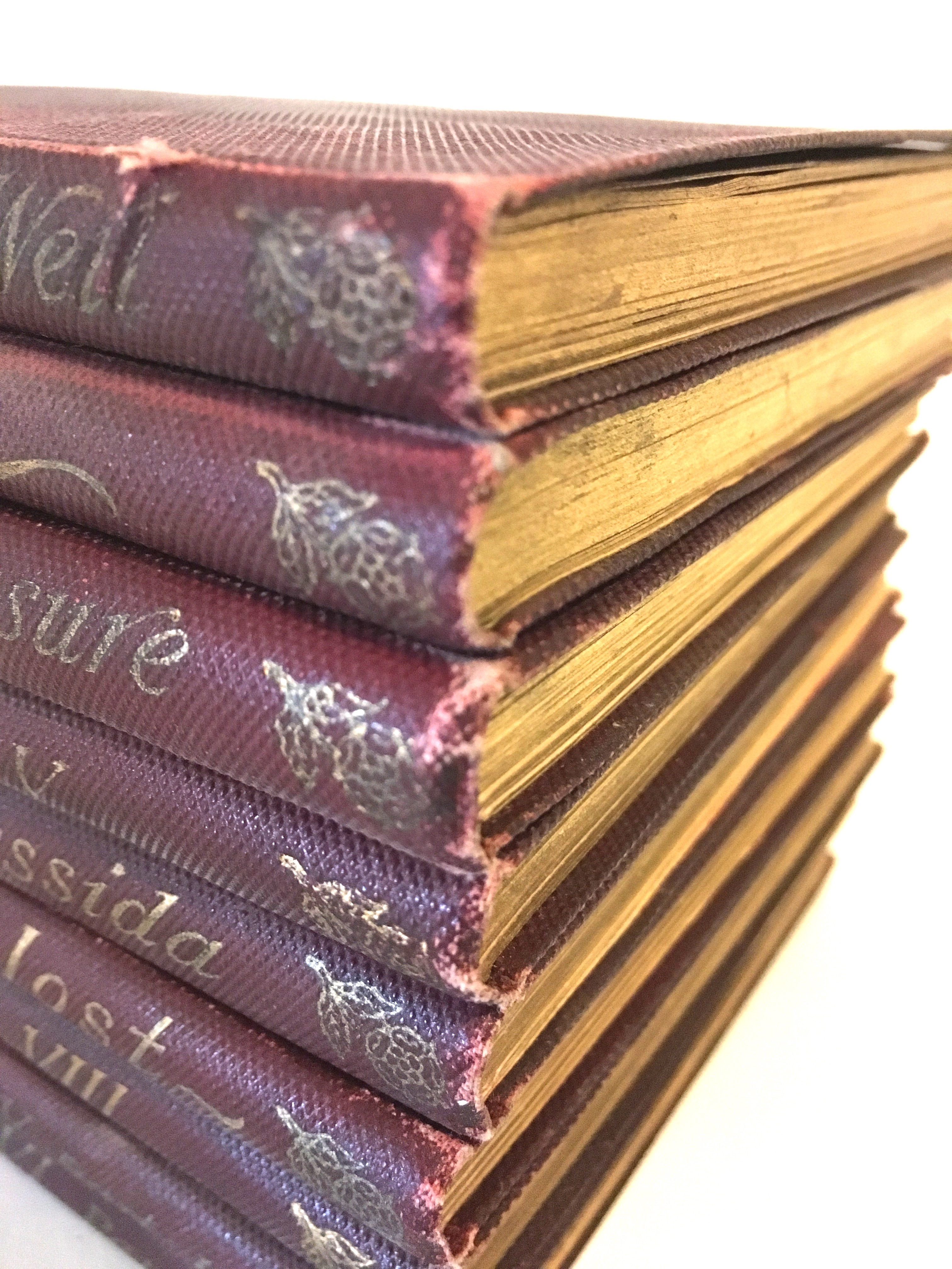 Antique Shakespearean Book Collection