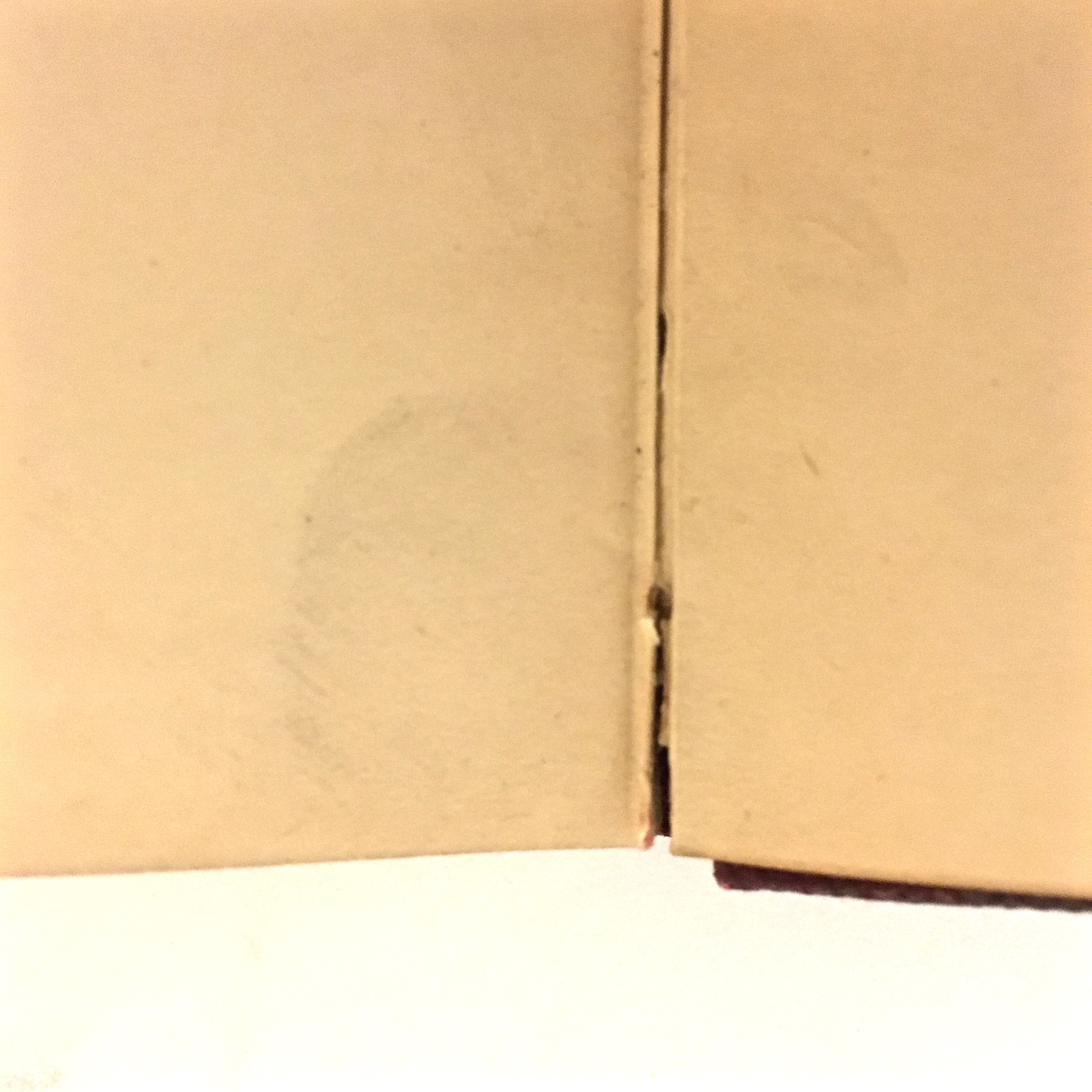 Antique Shakespearean Book Collection