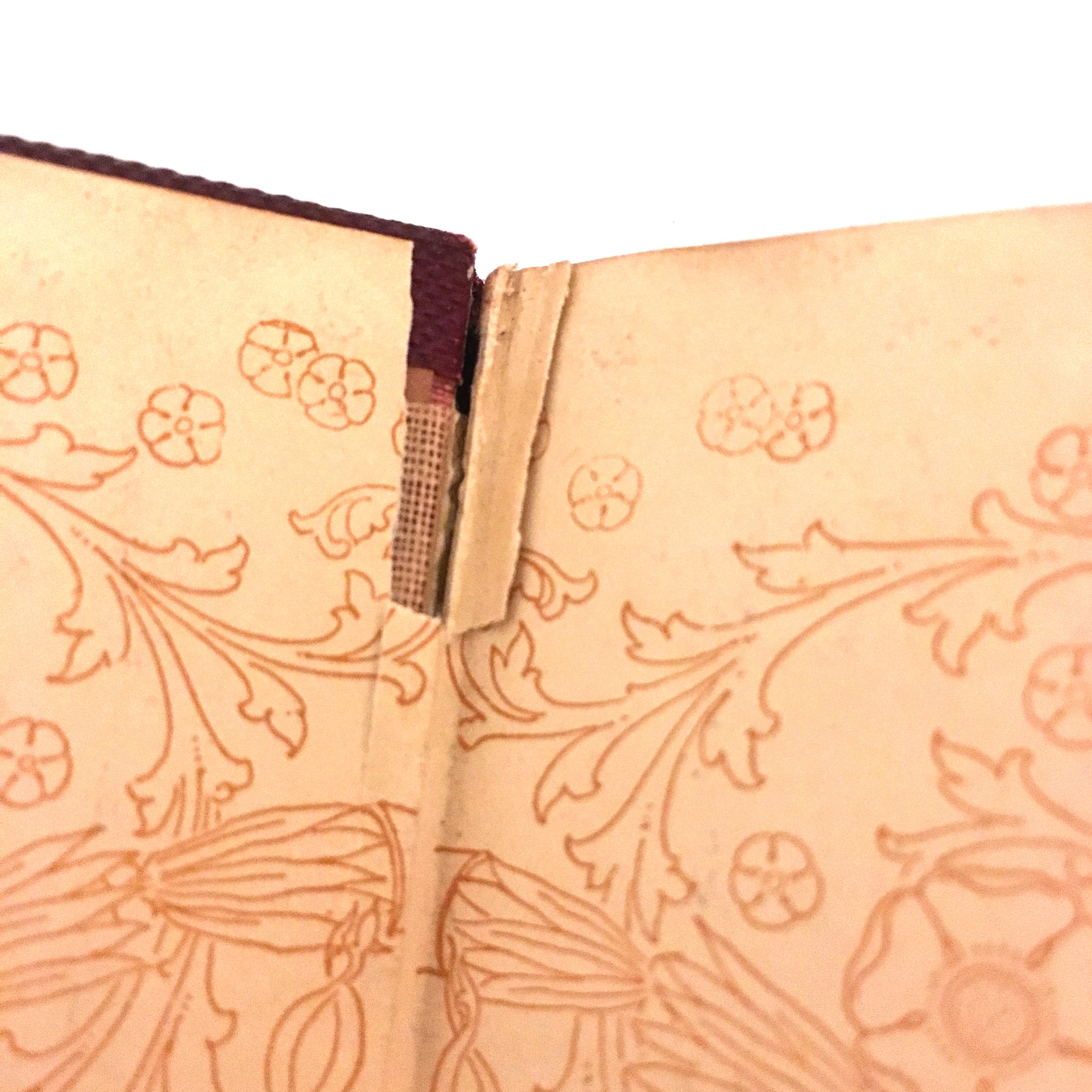 Antique Shakespearean Book Collection