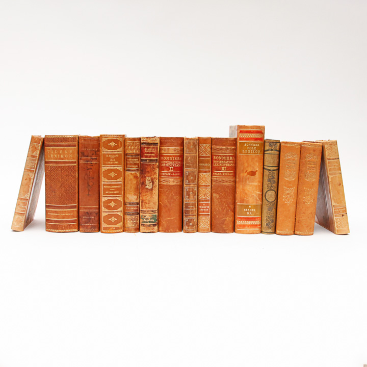 Antique Leather Bound Books