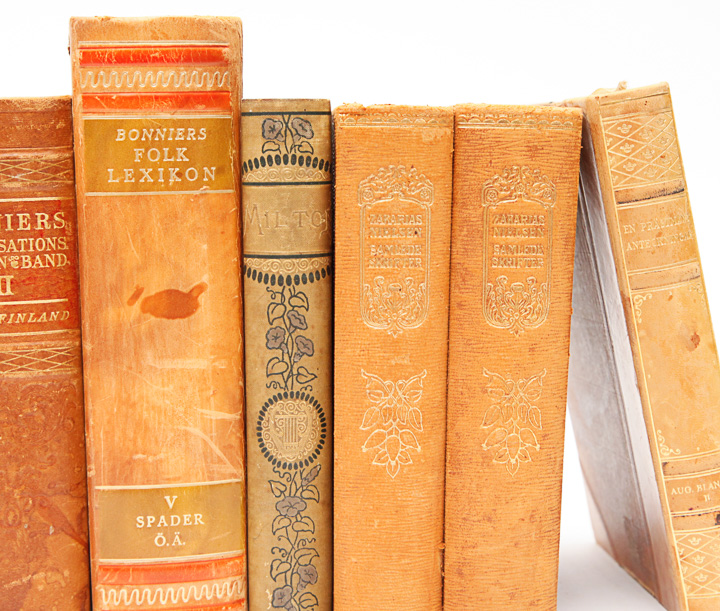 Antique Leather Bound Books