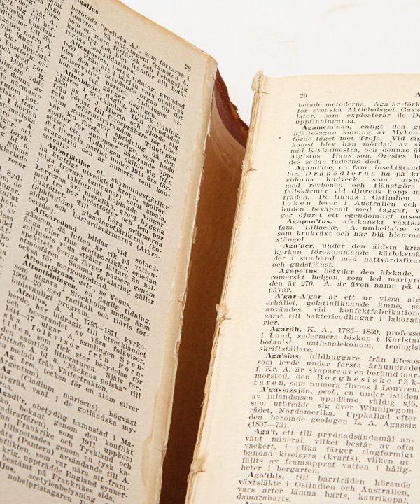 Antique Leather Bound Books