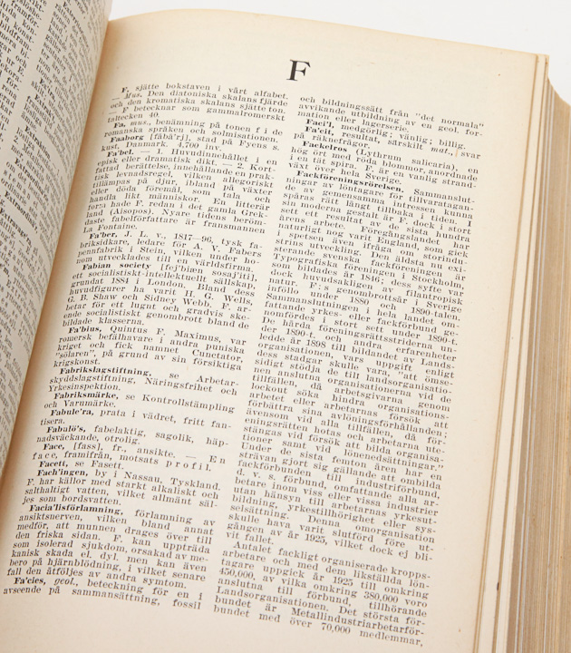 Antique Leather Bound Books