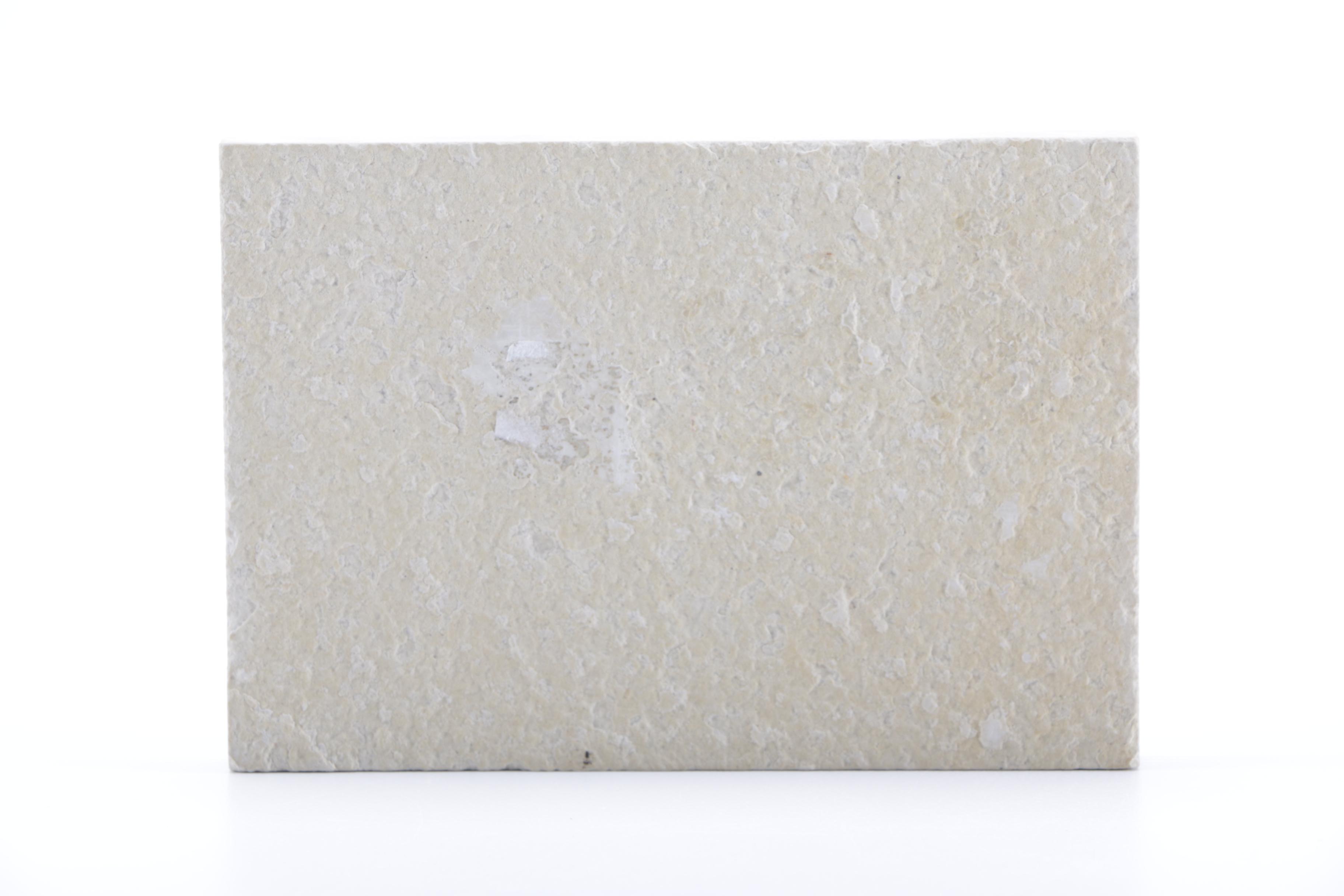 Fossilized Fish Specimens