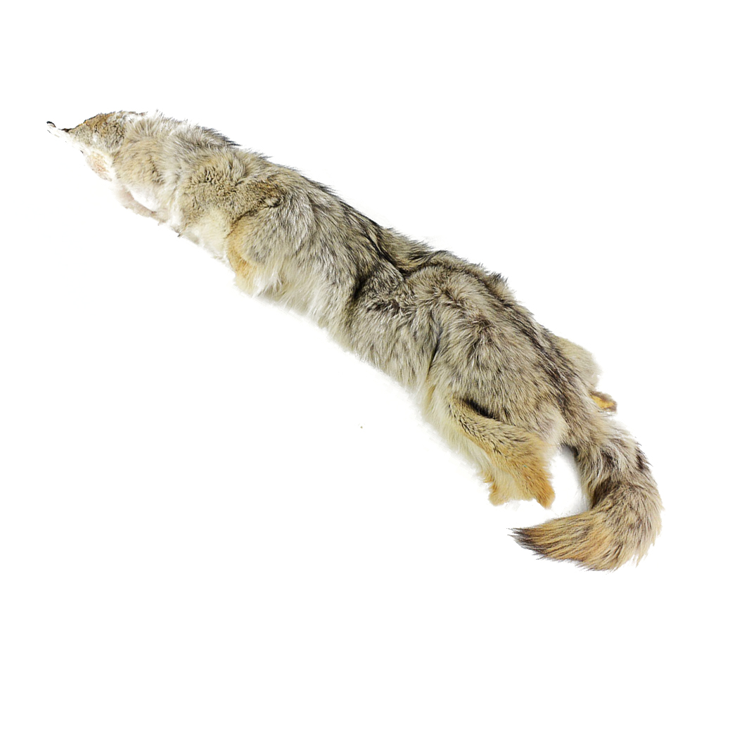 Vintage Brown Fox Pelt Collar