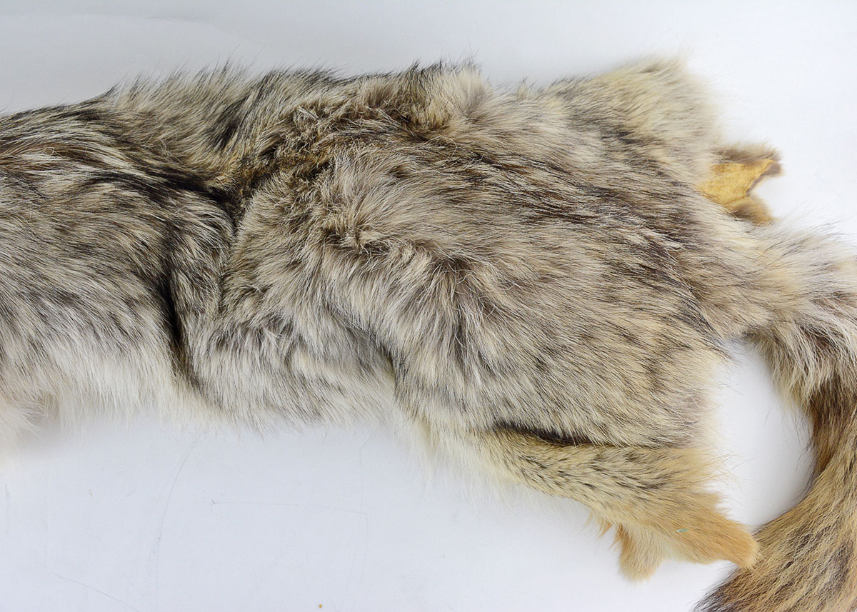 Vintage Brown Fox Pelt Collar