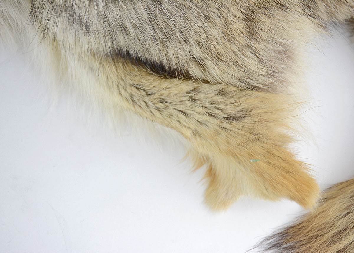 Vintage Brown Fox Pelt Collar