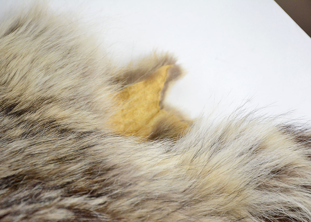 Vintage Brown Fox Pelt Collar
