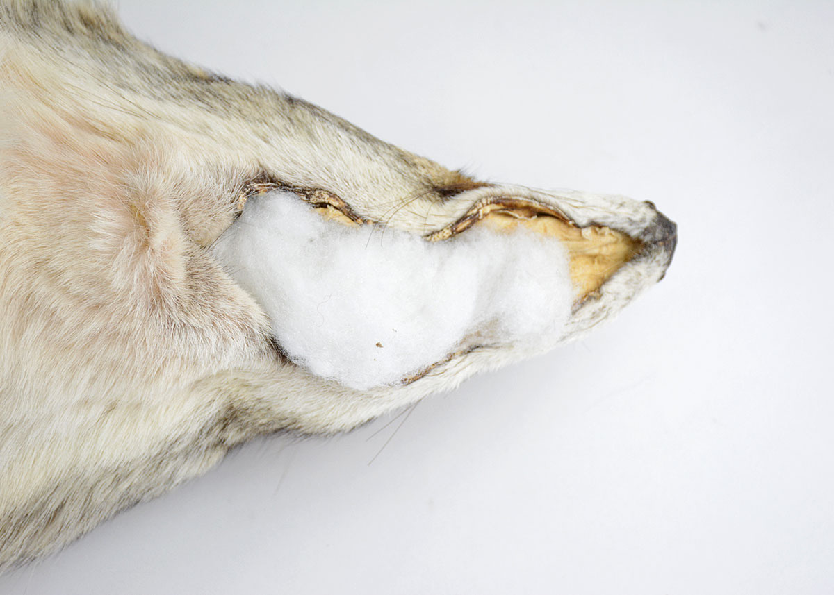 Vintage Brown Fox Pelt Collar