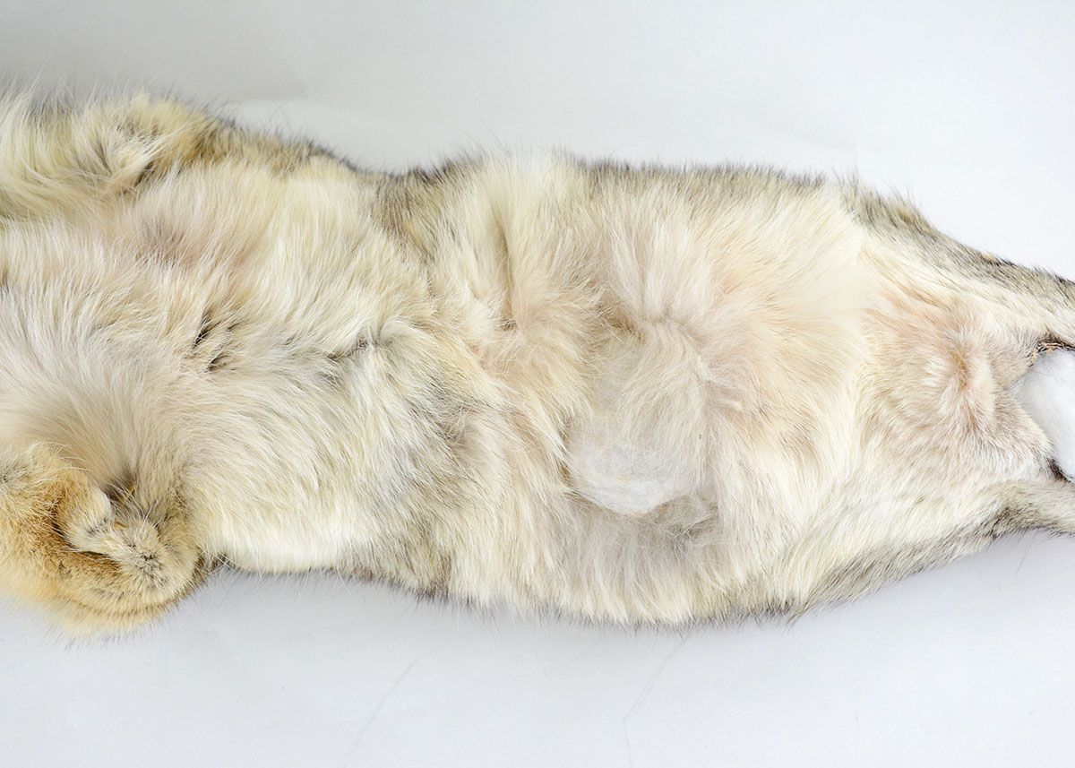 Vintage Brown Fox Pelt Collar