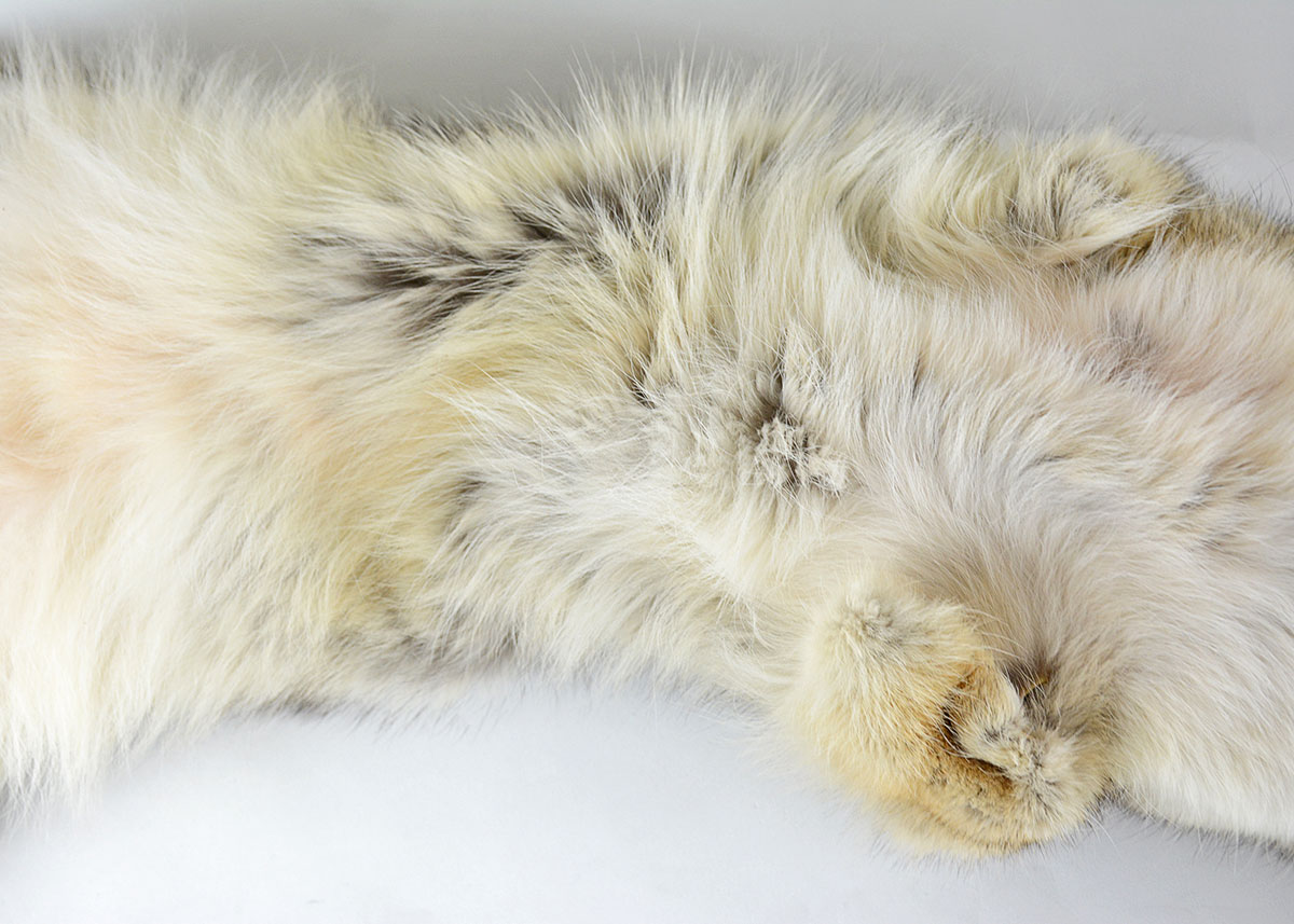 Vintage Brown Fox Pelt Collar