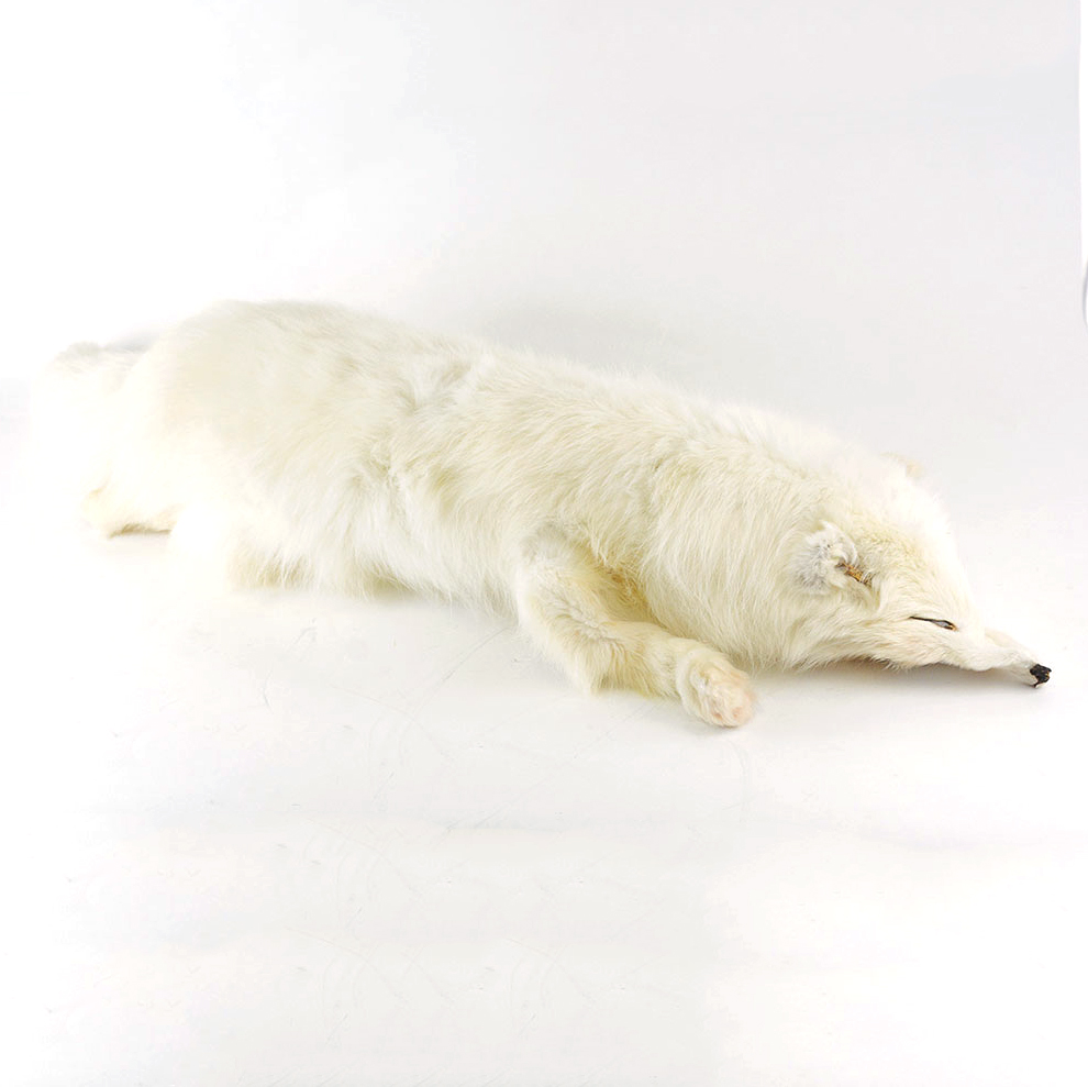 Vintage White Fox Single Pelt Collar