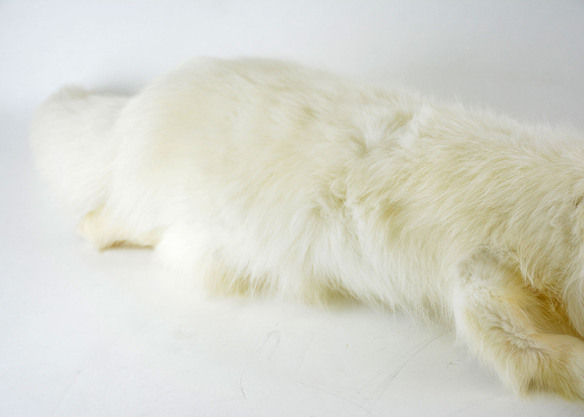 Vintage White Fox Single Pelt Collar