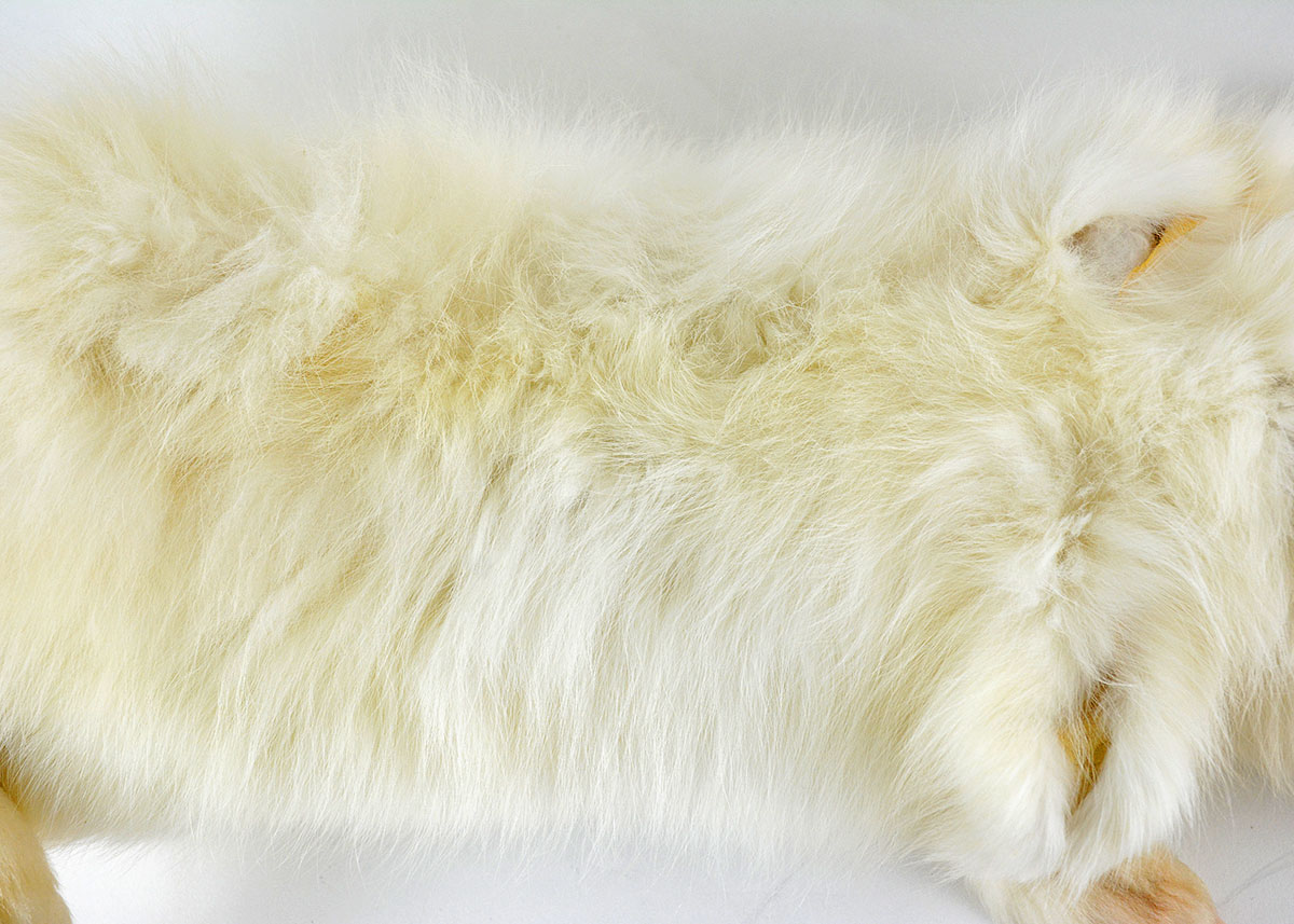 Vintage White Fox Single Pelt Collar