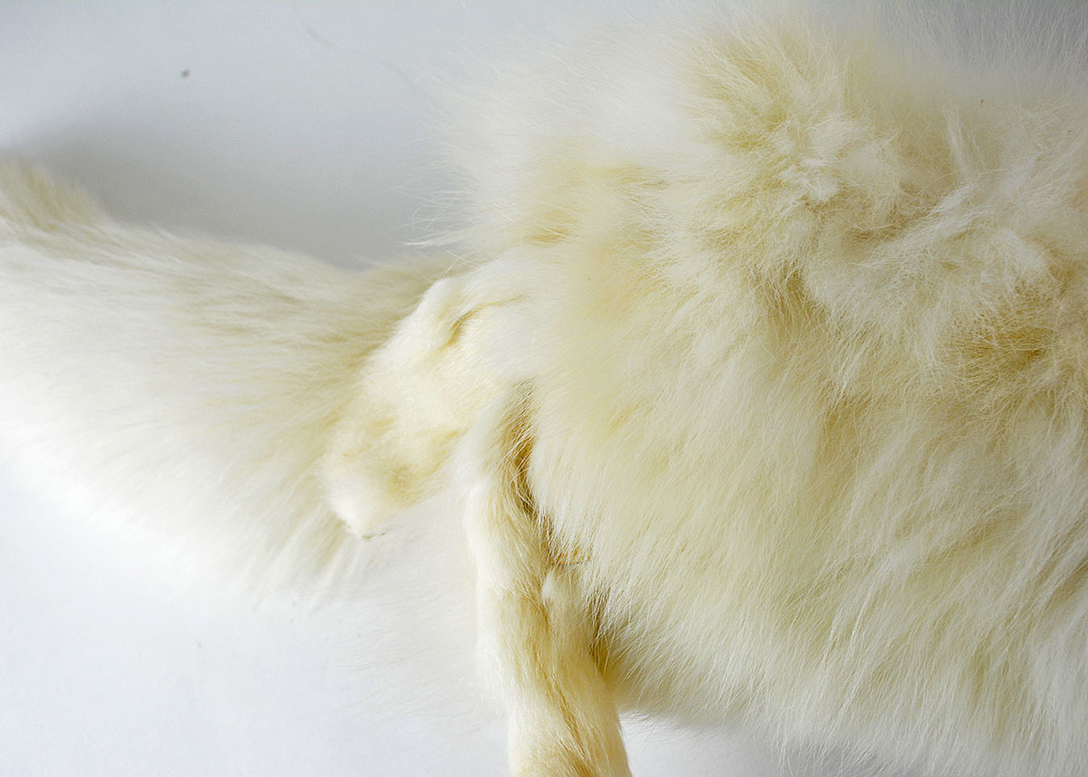 Vintage White Fox Single Pelt Collar