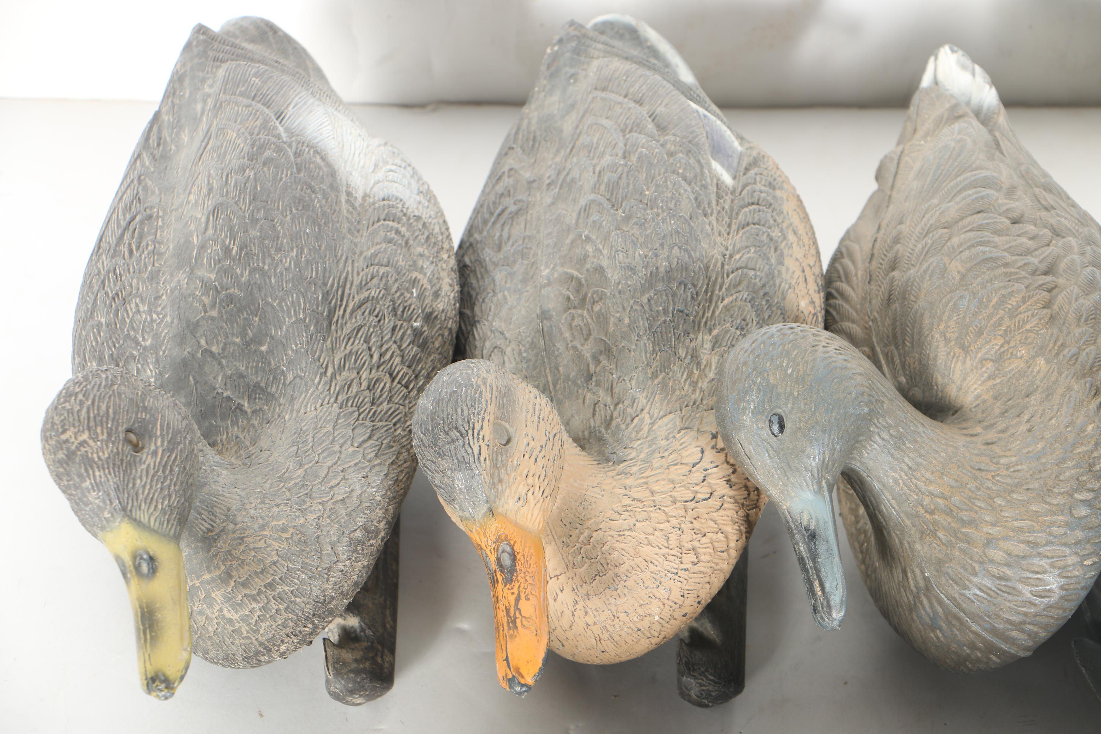 Collection of Duck Decoys