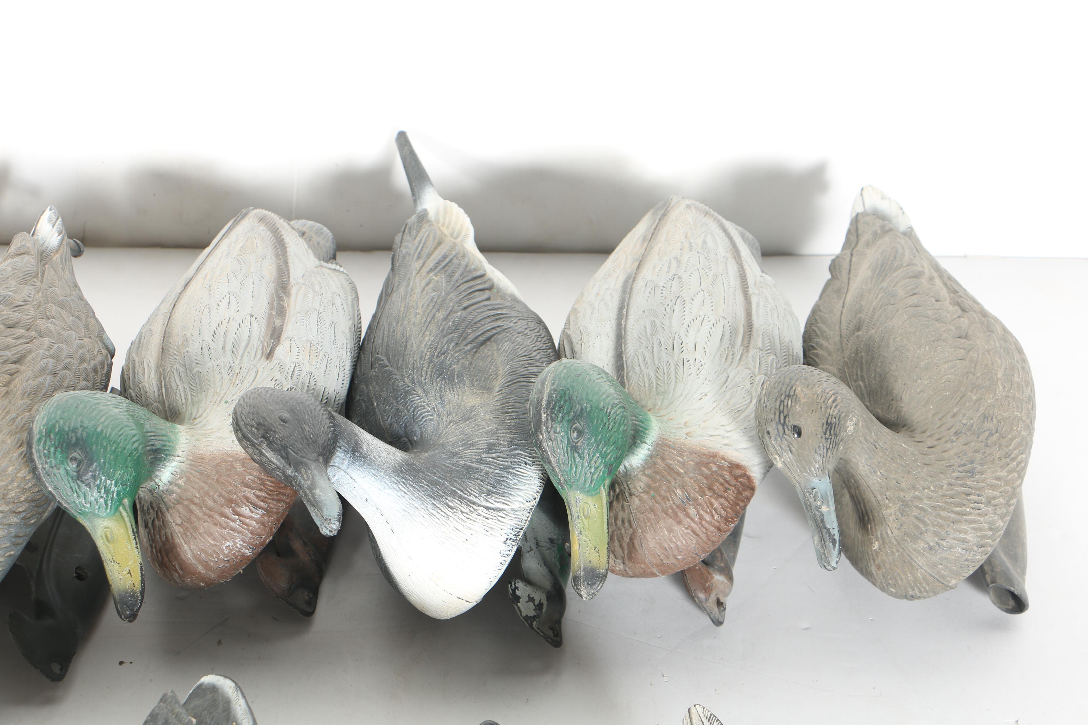 Collection of Duck Decoys