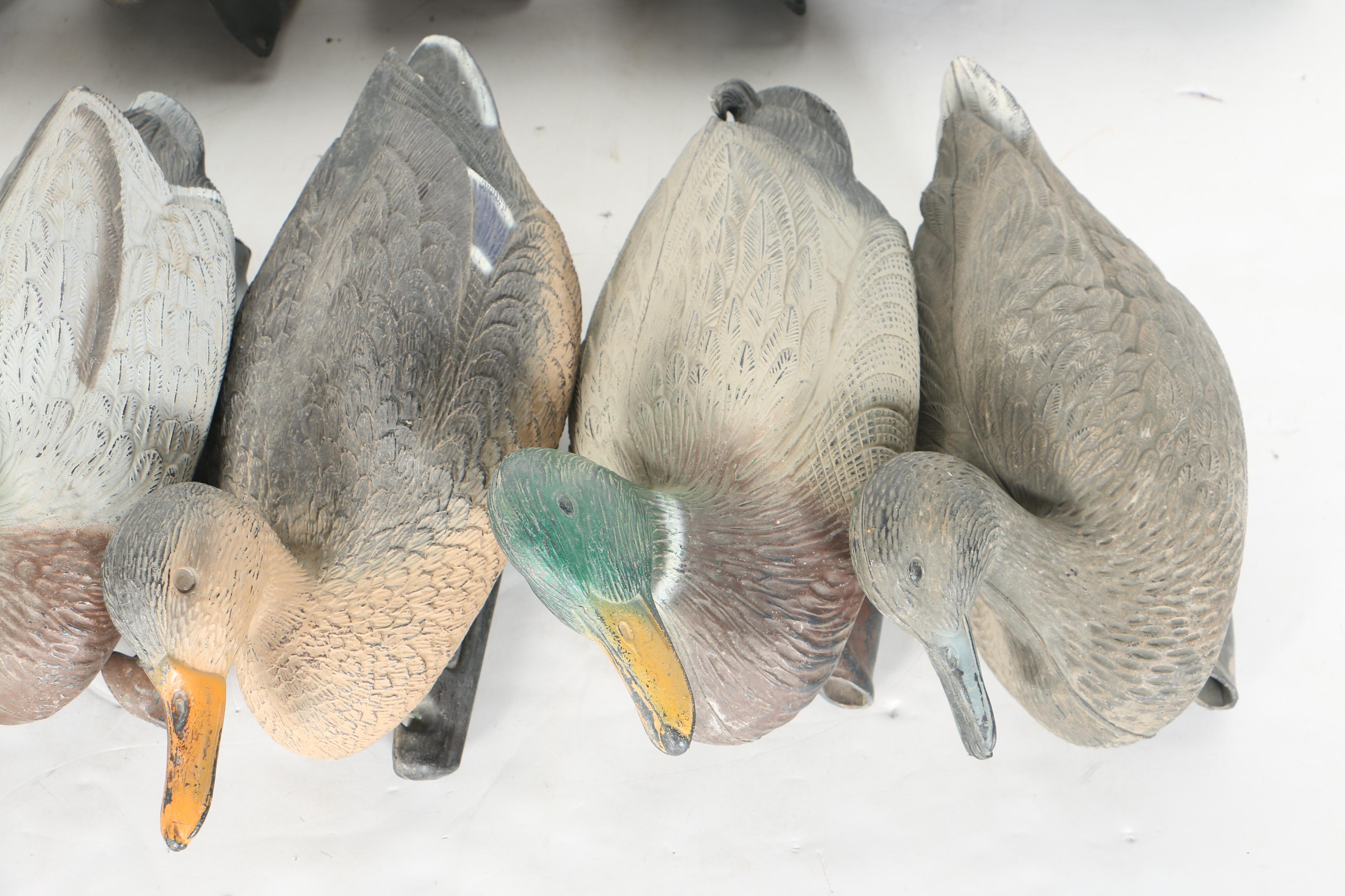 Collection of Duck Decoys