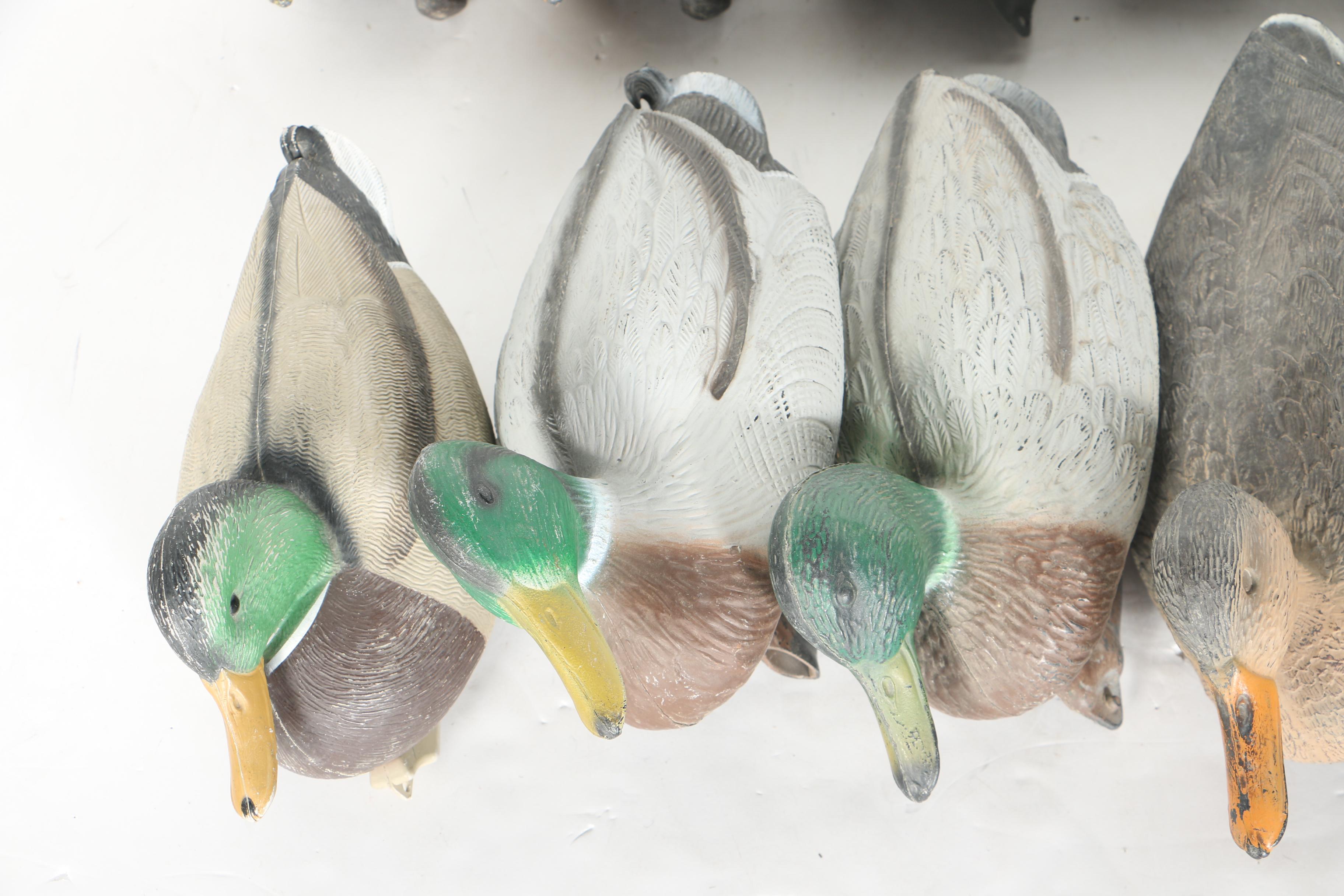 Collection of Duck Decoys