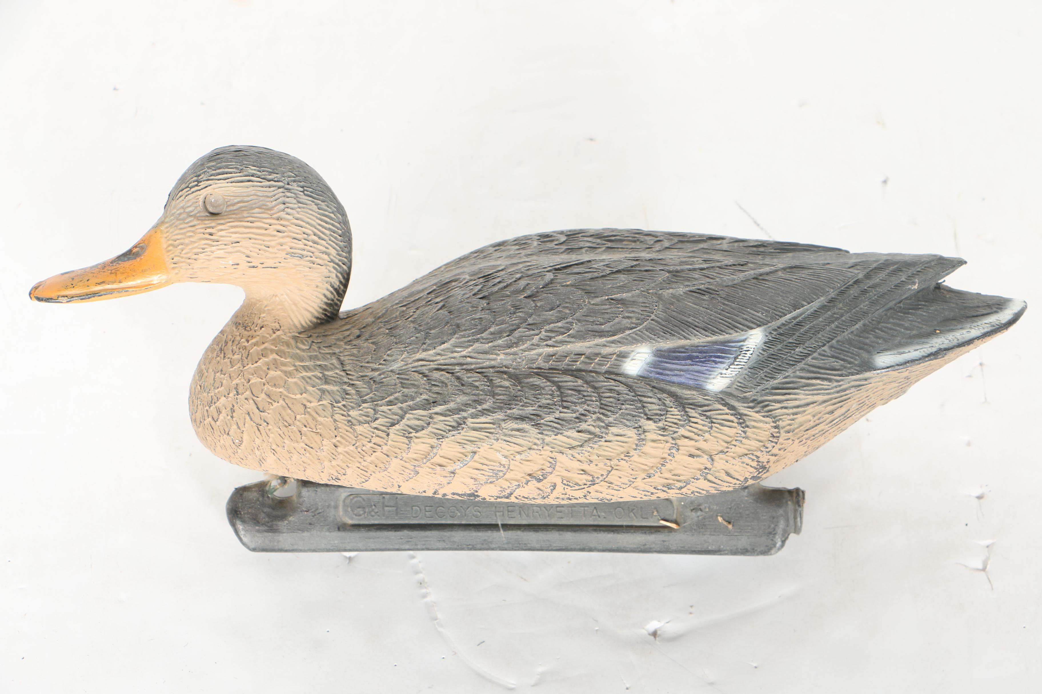Collection of Duck Decoys