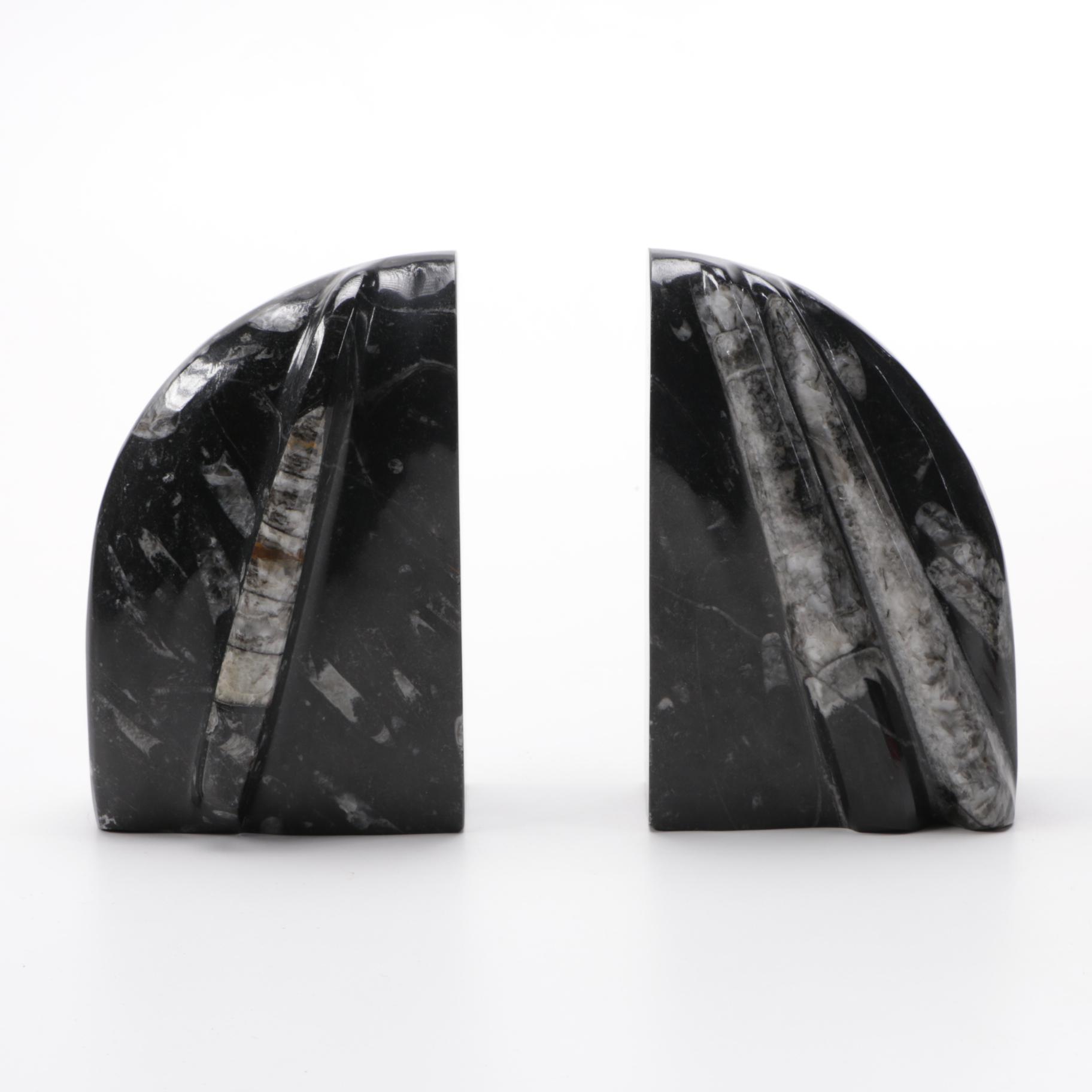 Conic Cephalopod Fossil Bookends