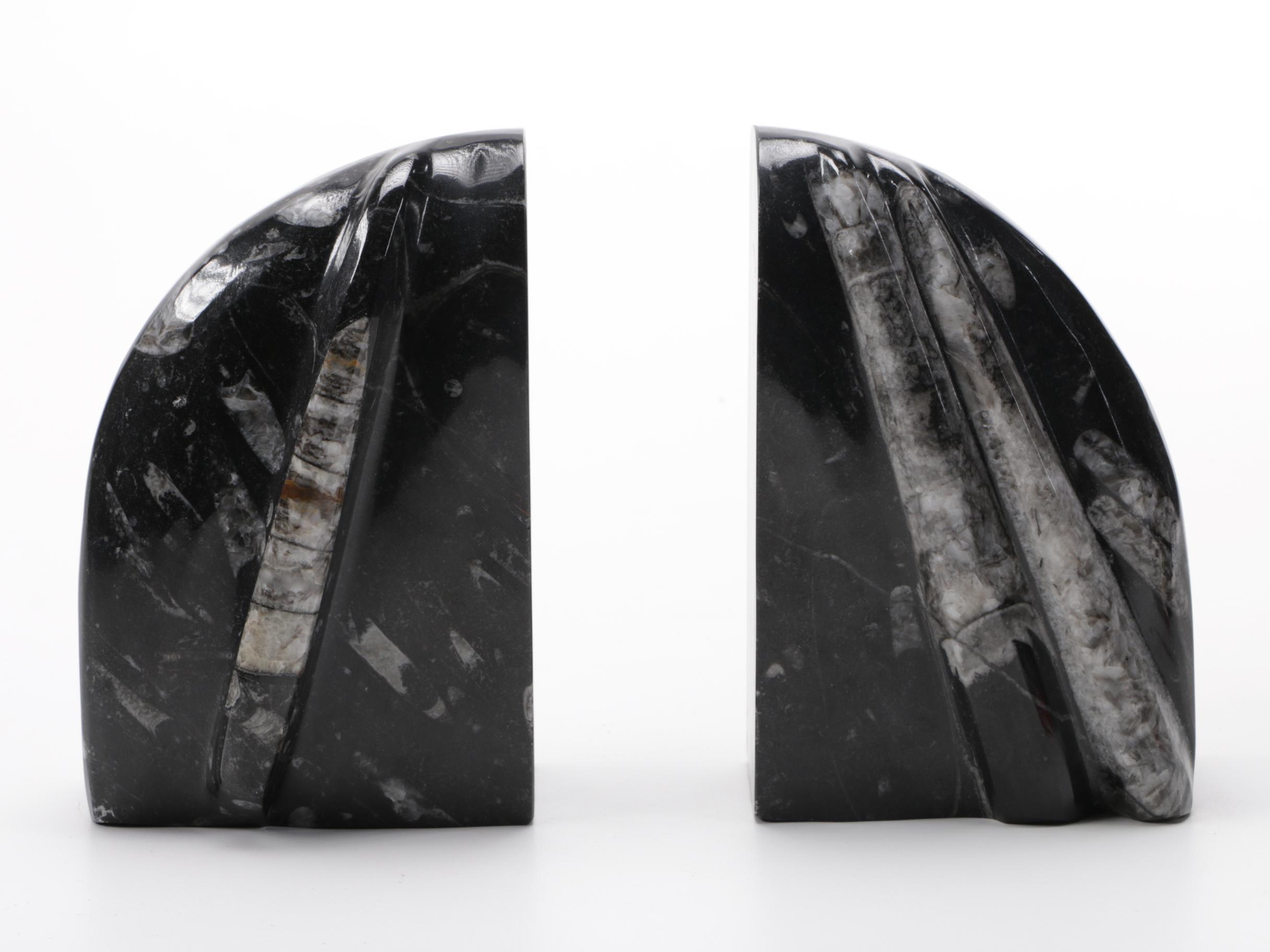 Conic Cephalopod Fossil Bookends