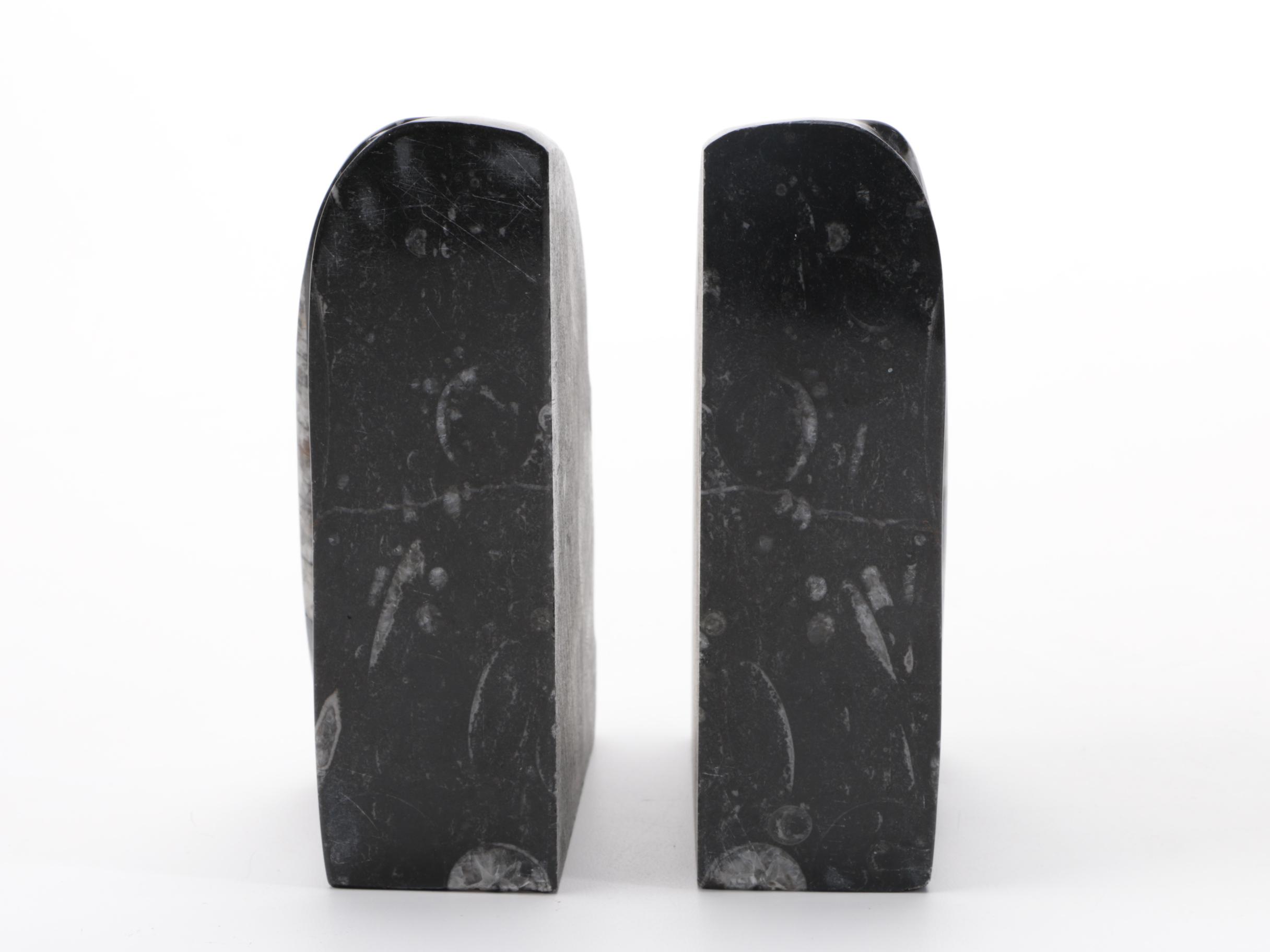 Conic Cephalopod Fossil Bookends