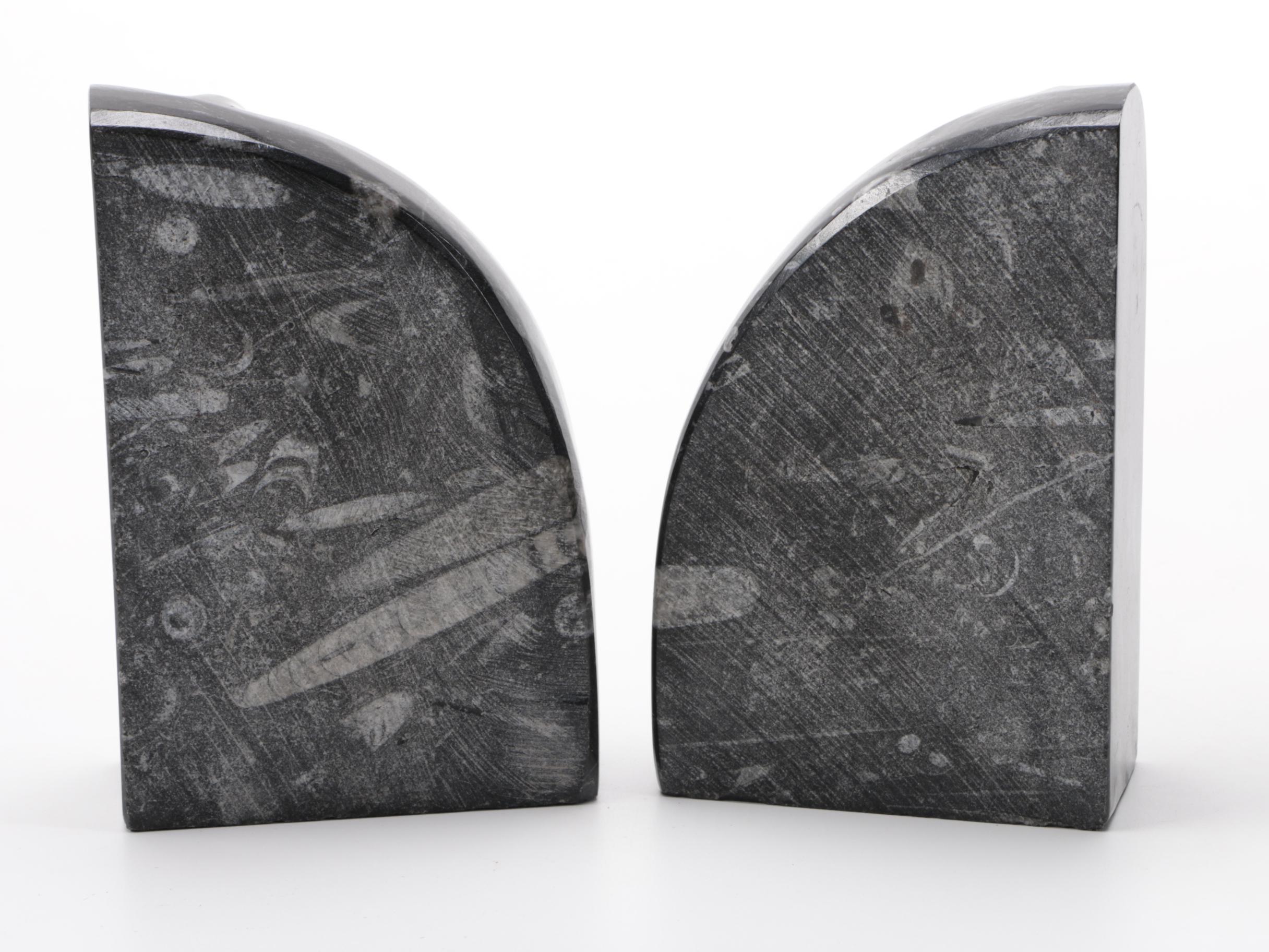 Conic Cephalopod Fossil Bookends