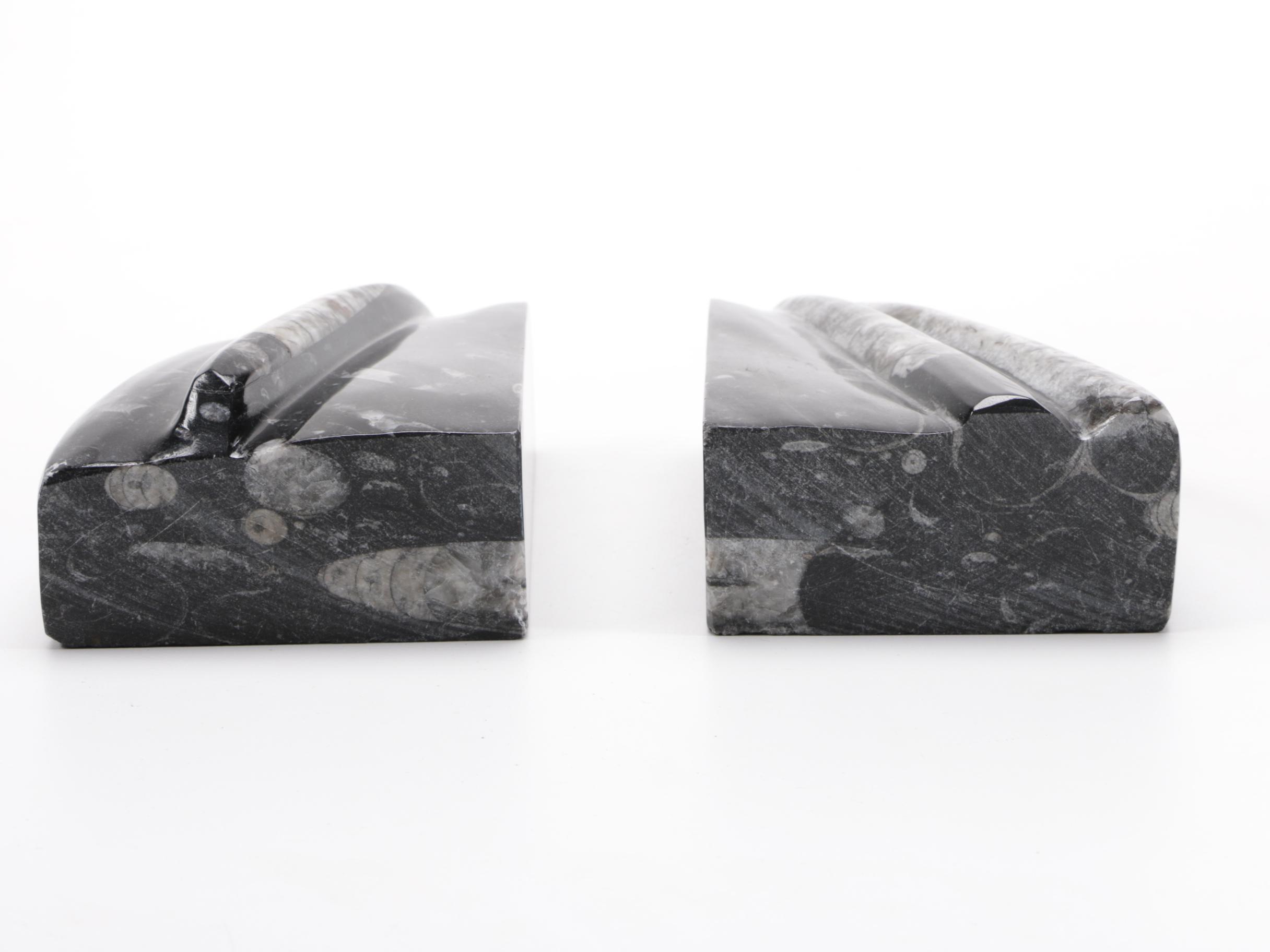 Conic Cephalopod Fossil Bookends