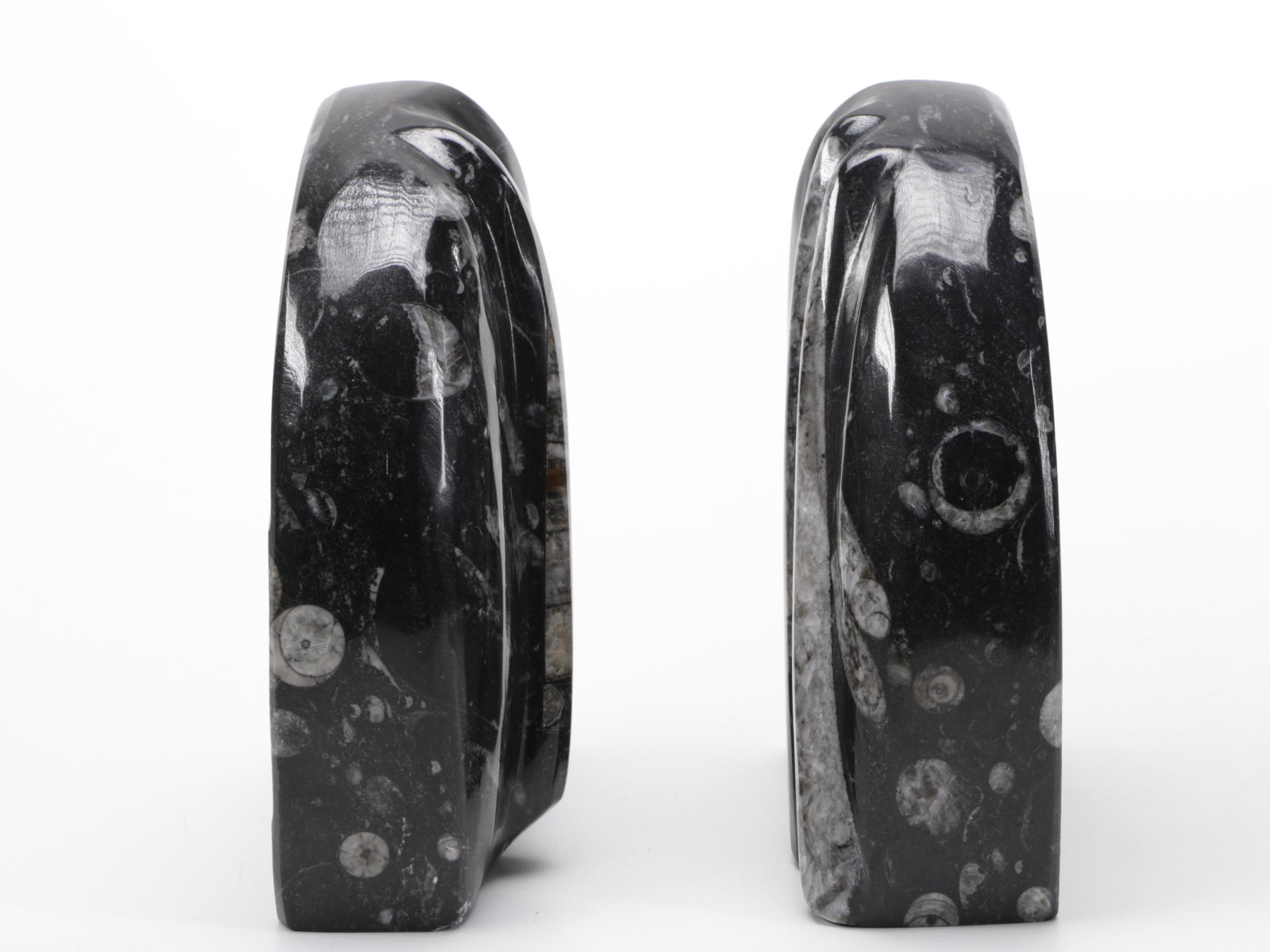 Conic Cephalopod Fossil Bookends