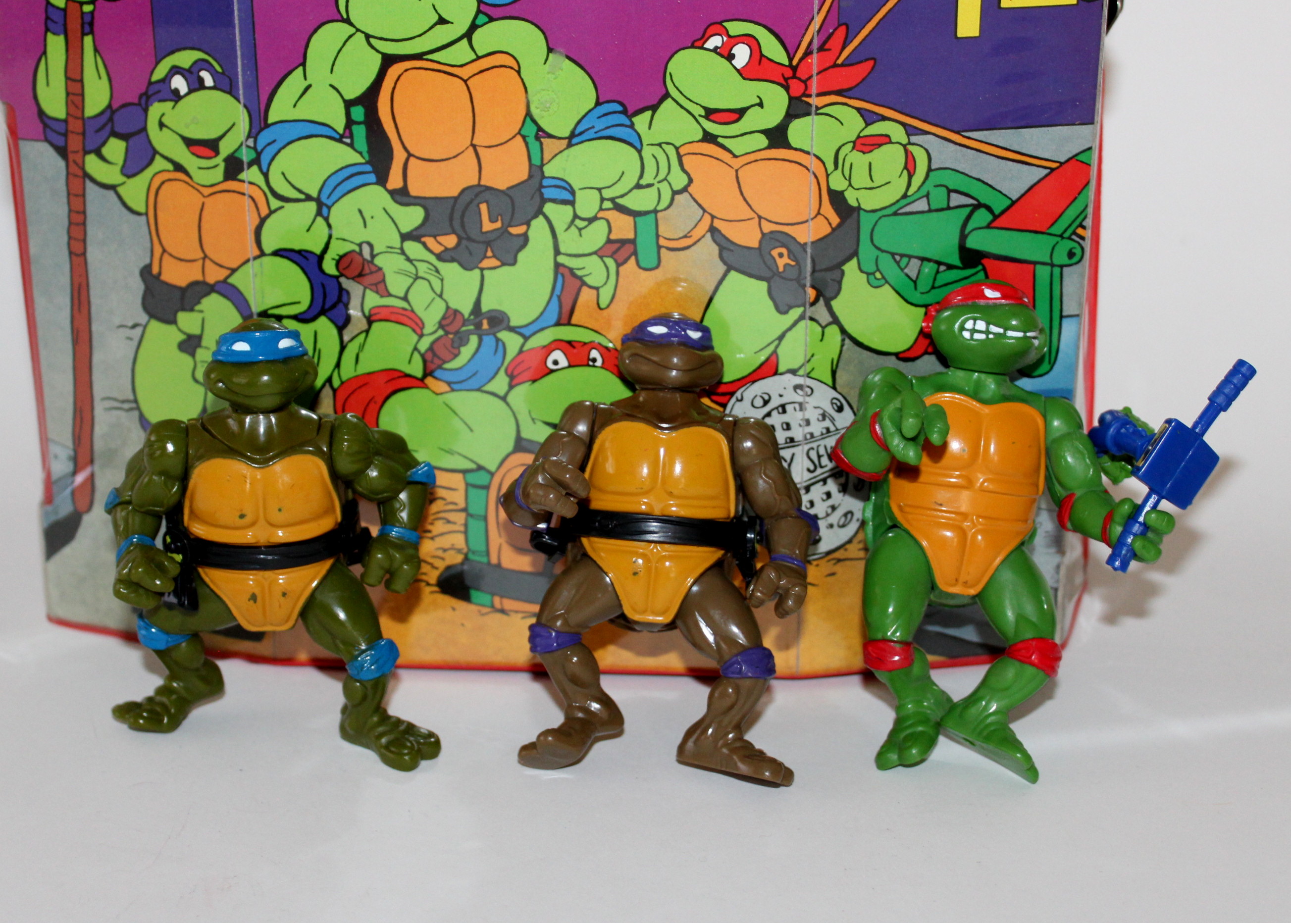 Teenage Mutant Ninja Turtle Action Figures and Case