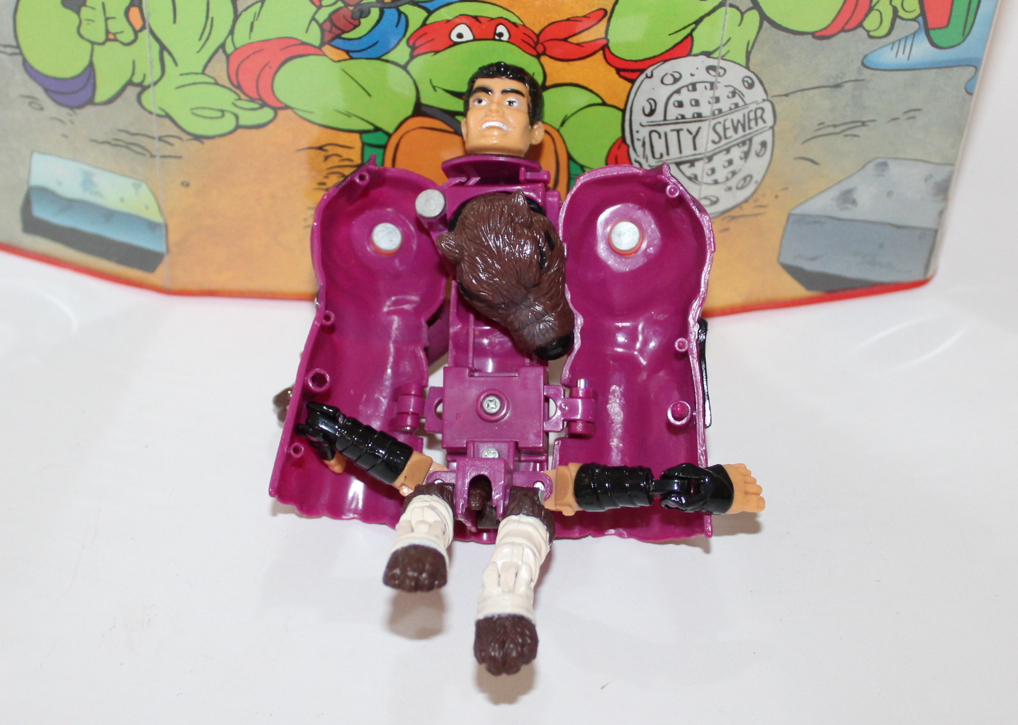 Teenage Mutant Ninja Turtle Action Figures and Case