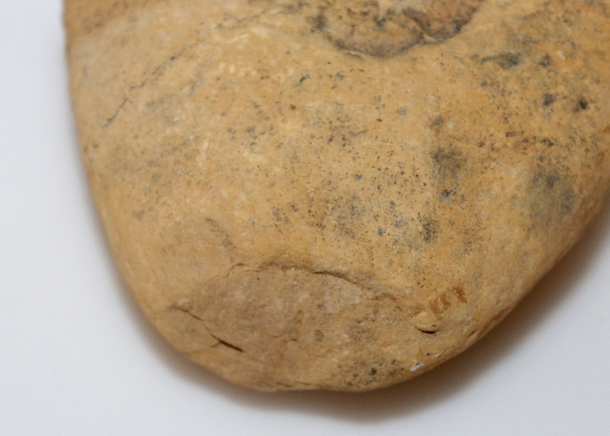 Native American Artifacts