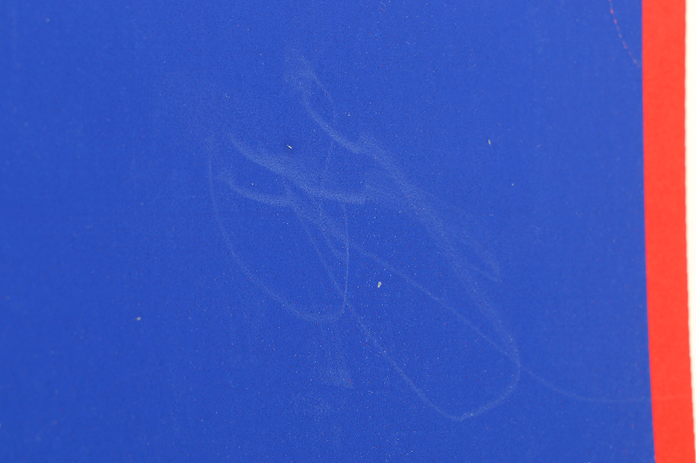 George Vranesh Limited Edition Serigraph on Paper "Northern Element"