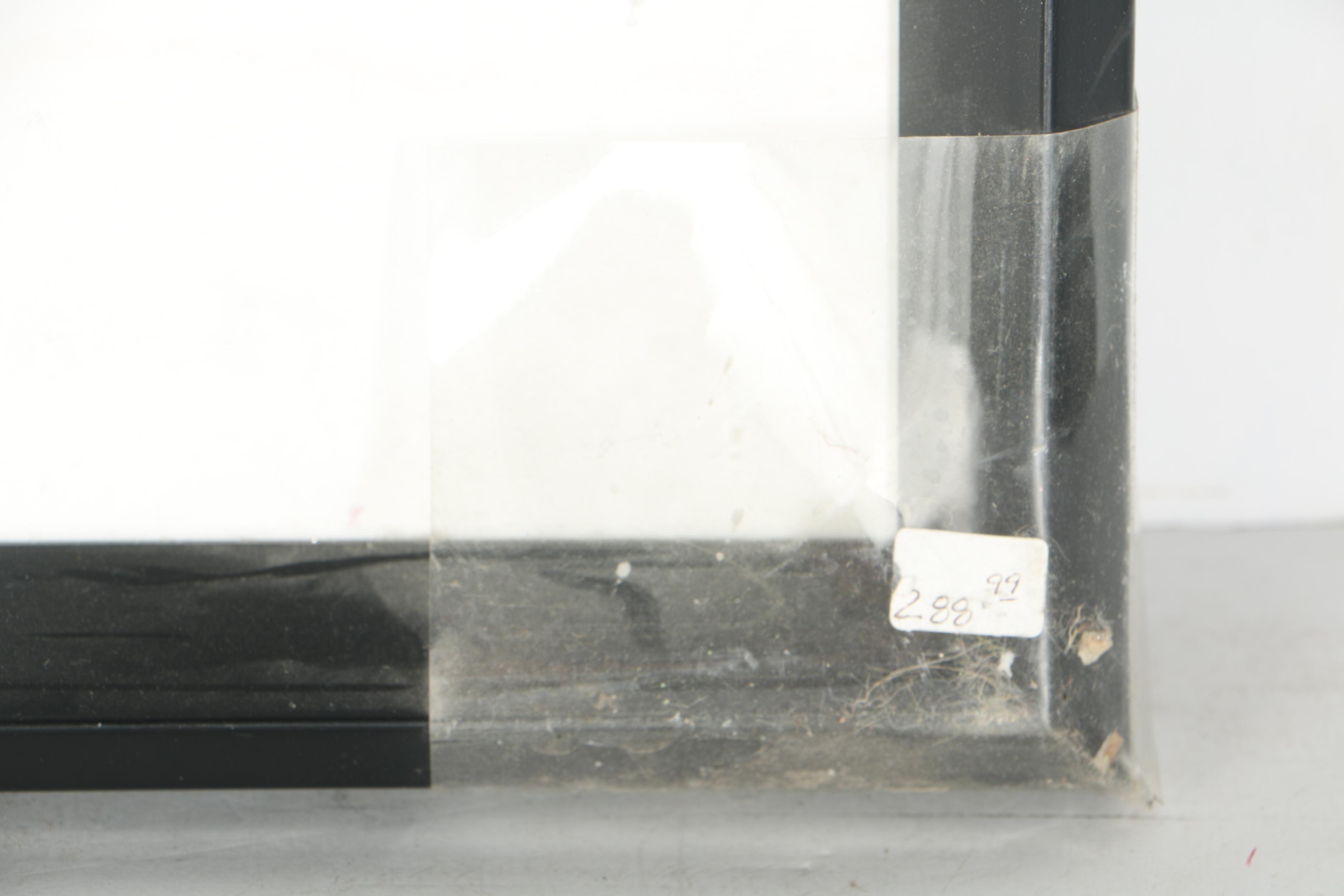 Kathryn White and Other Floral Giclees