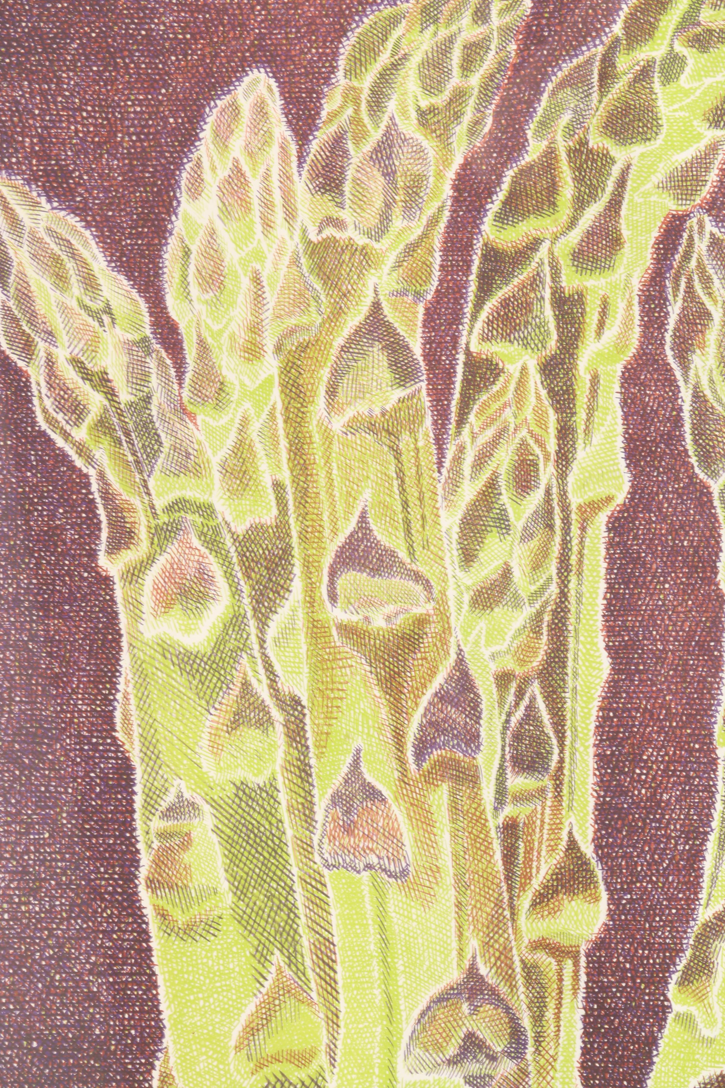 Laura Grosch Lithograph "Asparagus"