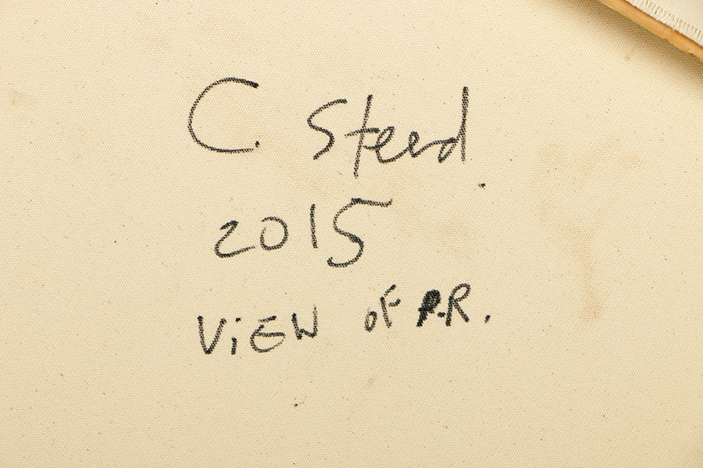 Clintel Steed Oil Painting on Canvas "View of P.R."