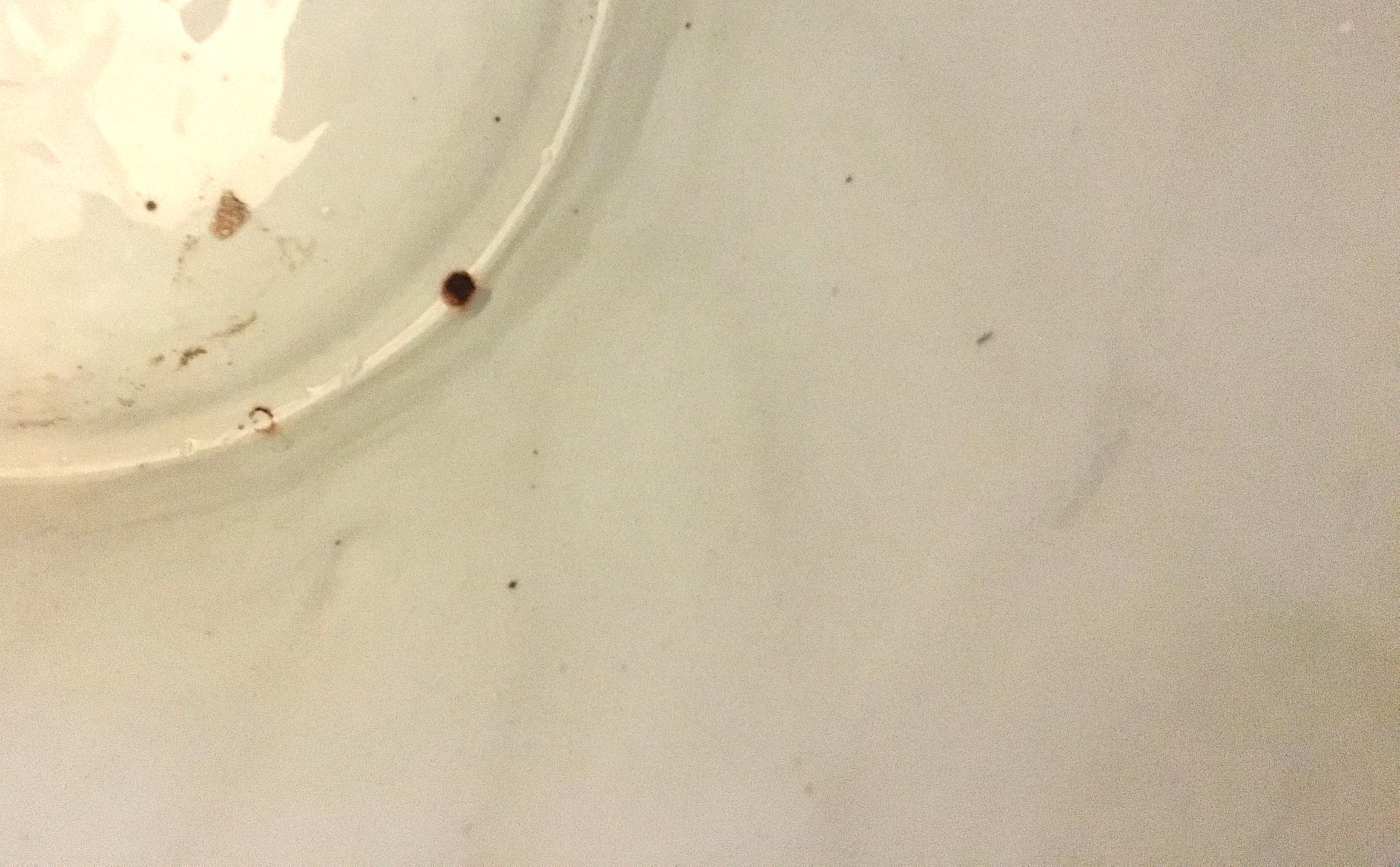 Large Chinese Ceramic Planters