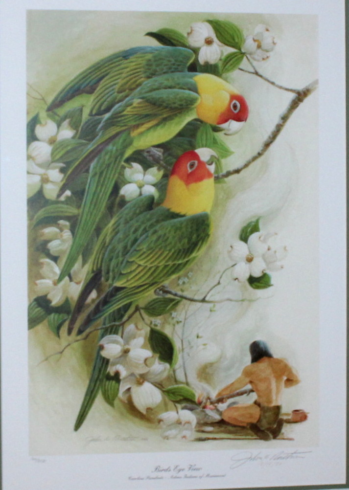 Framed John Ruthven Print "Bird's Eye View"