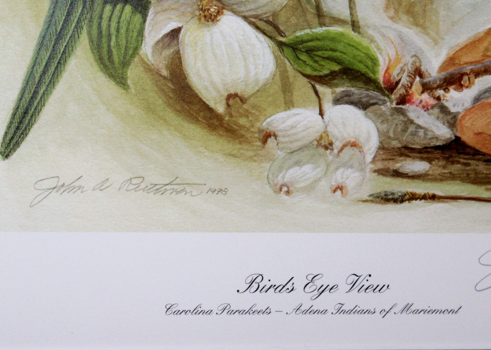 Framed John Ruthven Print "Bird's Eye View"