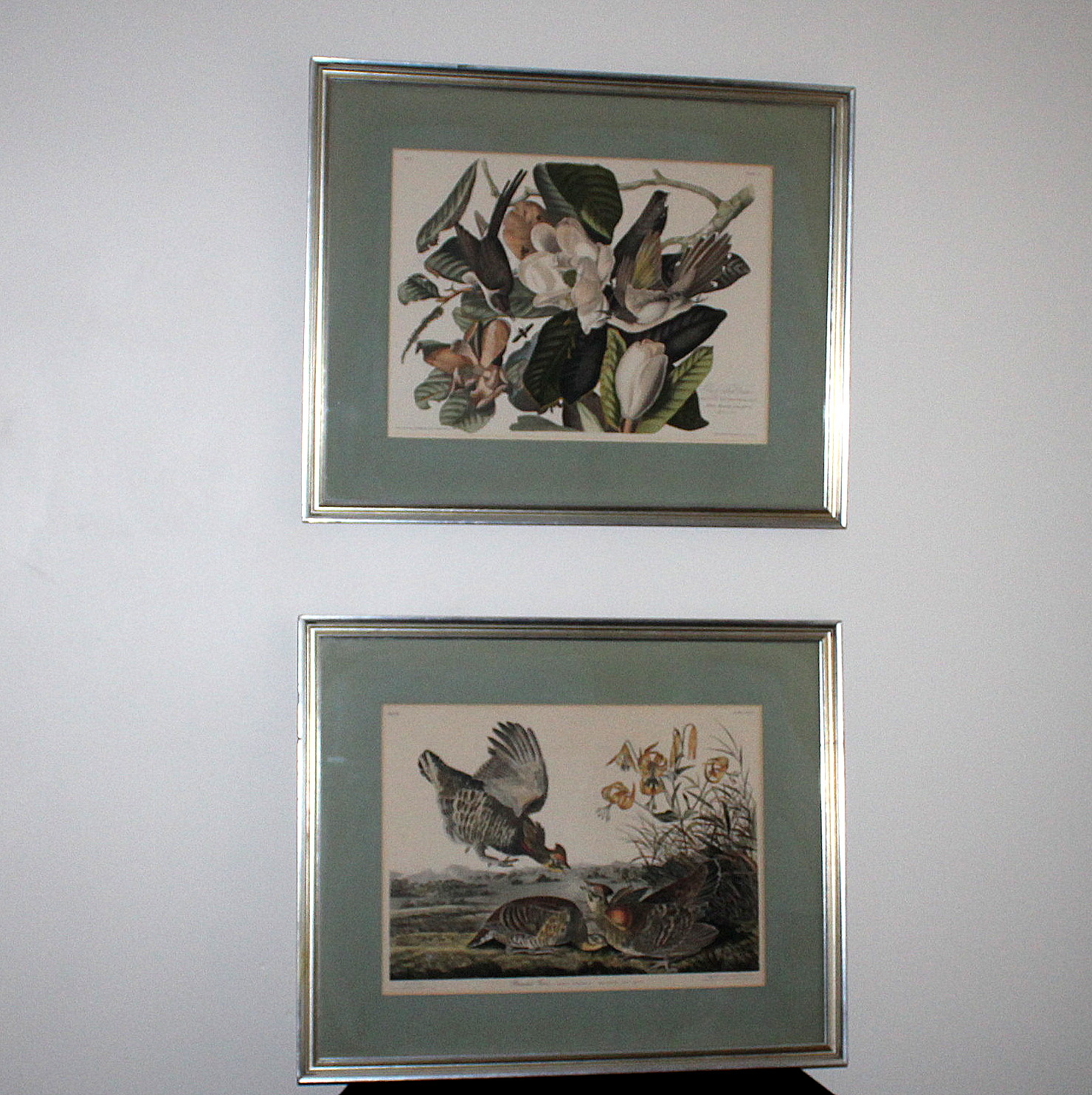Vintage Framed Audubon Prints