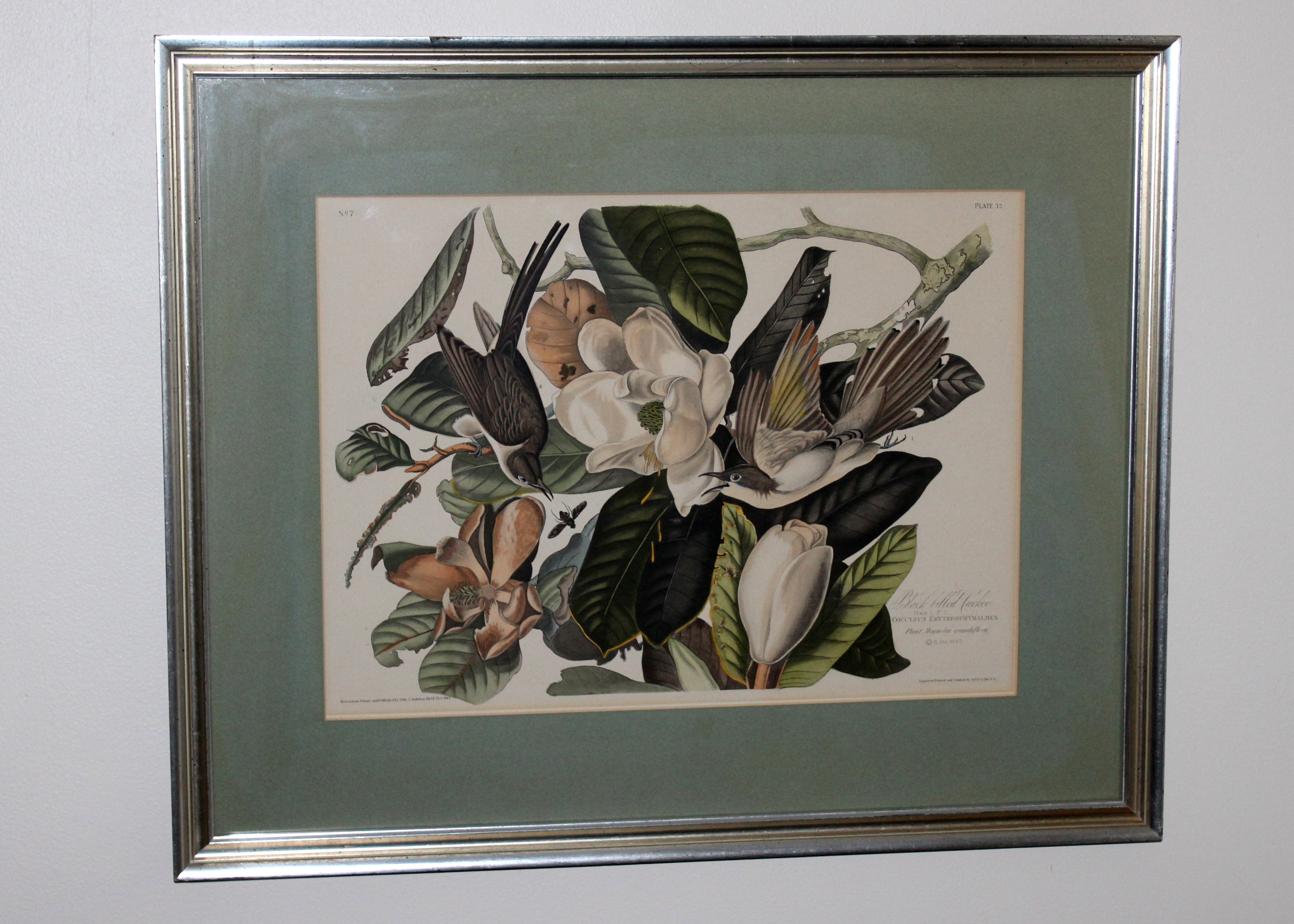 Vintage Framed Audubon Prints