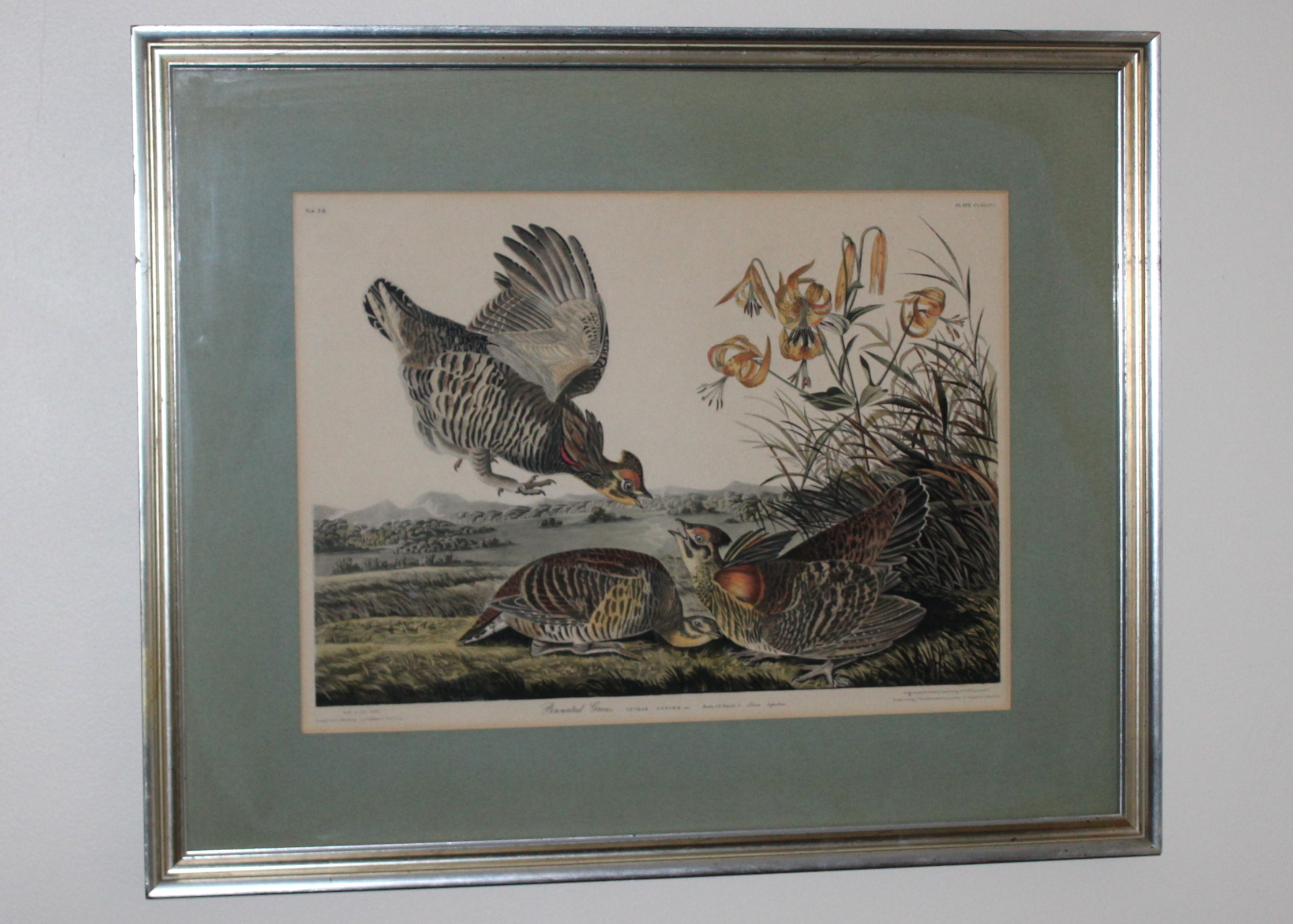 Vintage Framed Audubon Prints